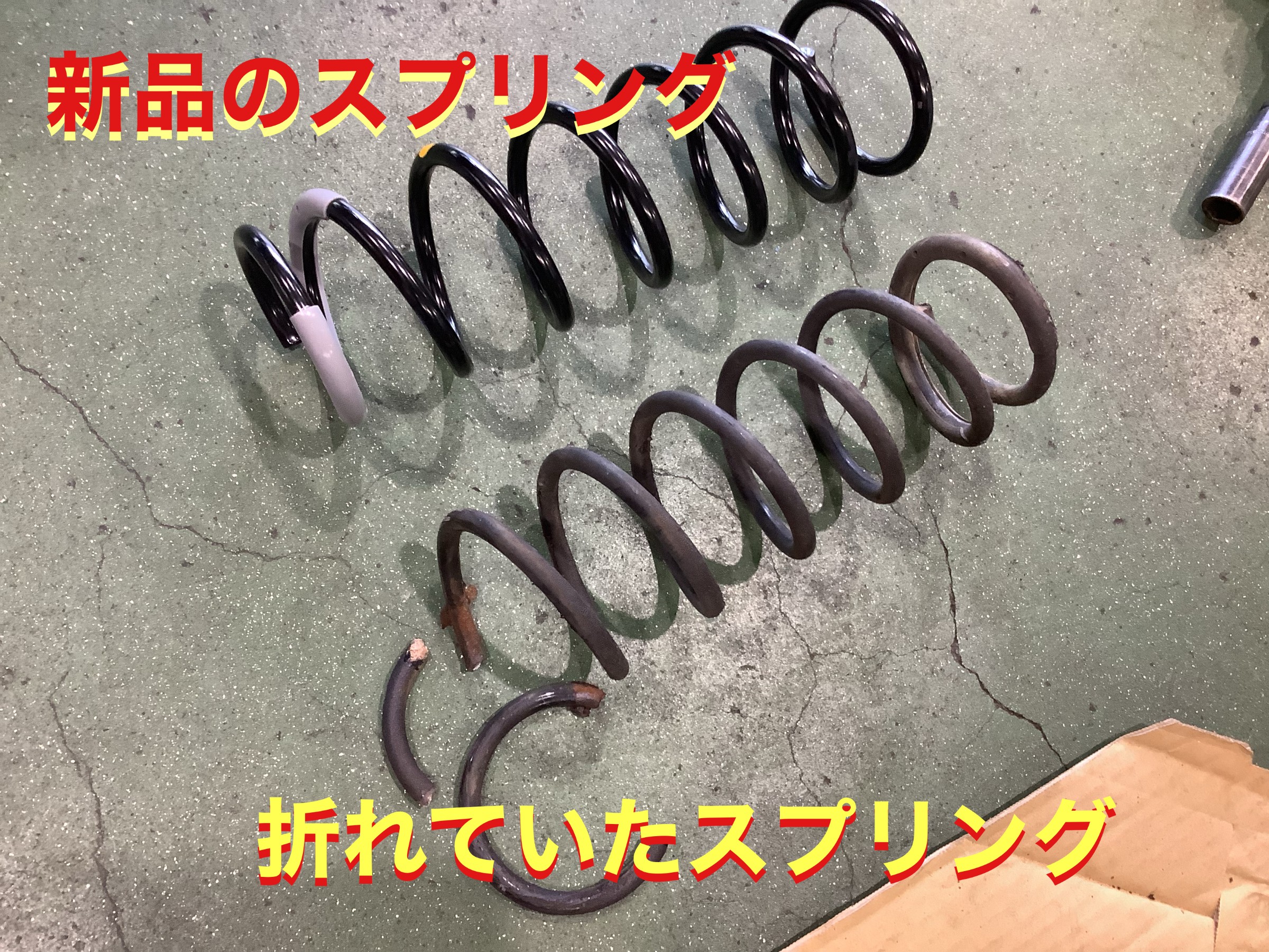 自店撮影です