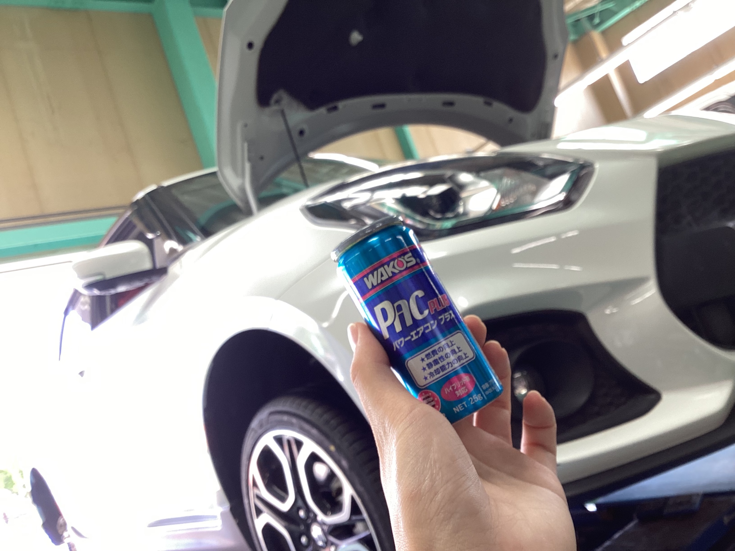 スタッフ撮影分