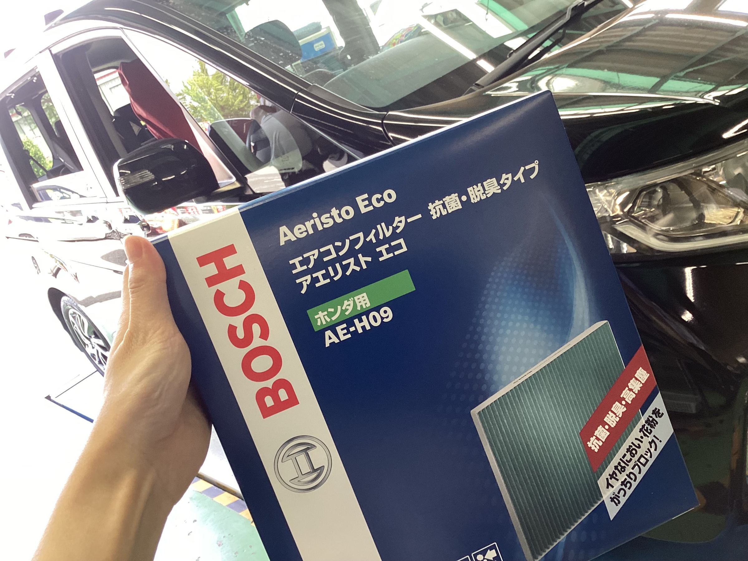 スタッフ撮影分