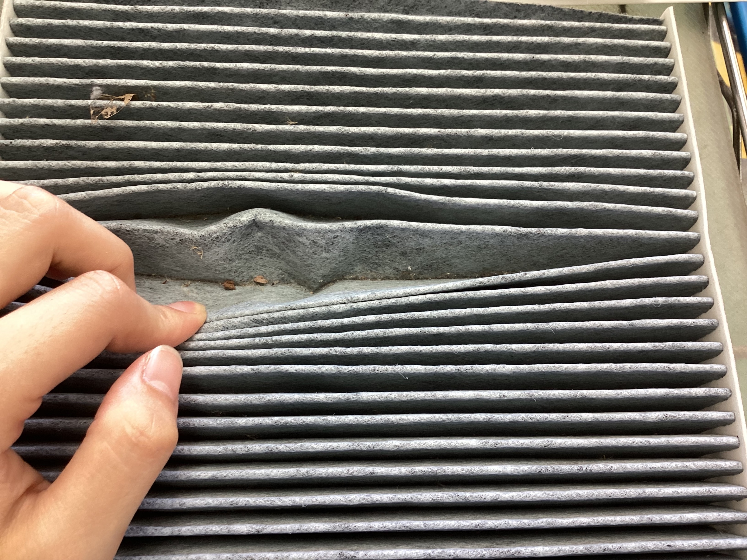 スタッフ撮影分