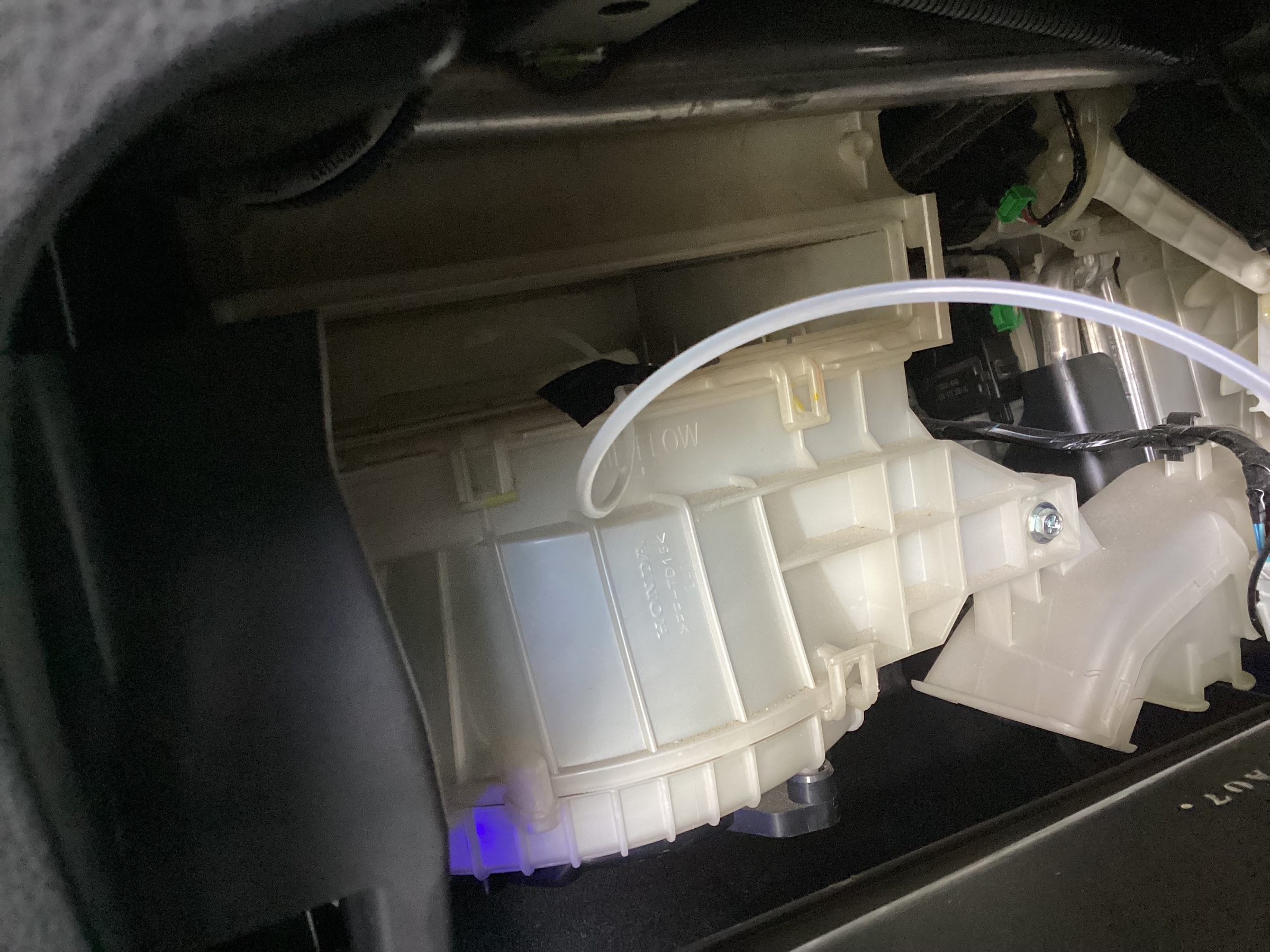 スタッフ撮影分