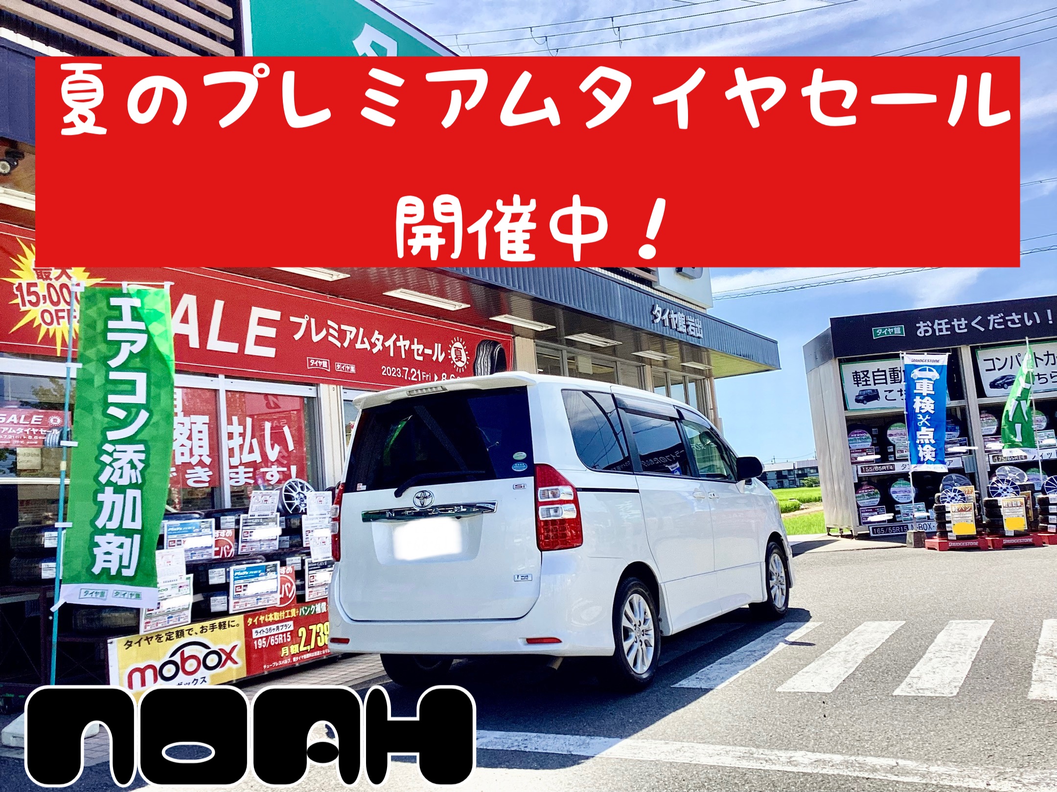 スタッフ撮影分