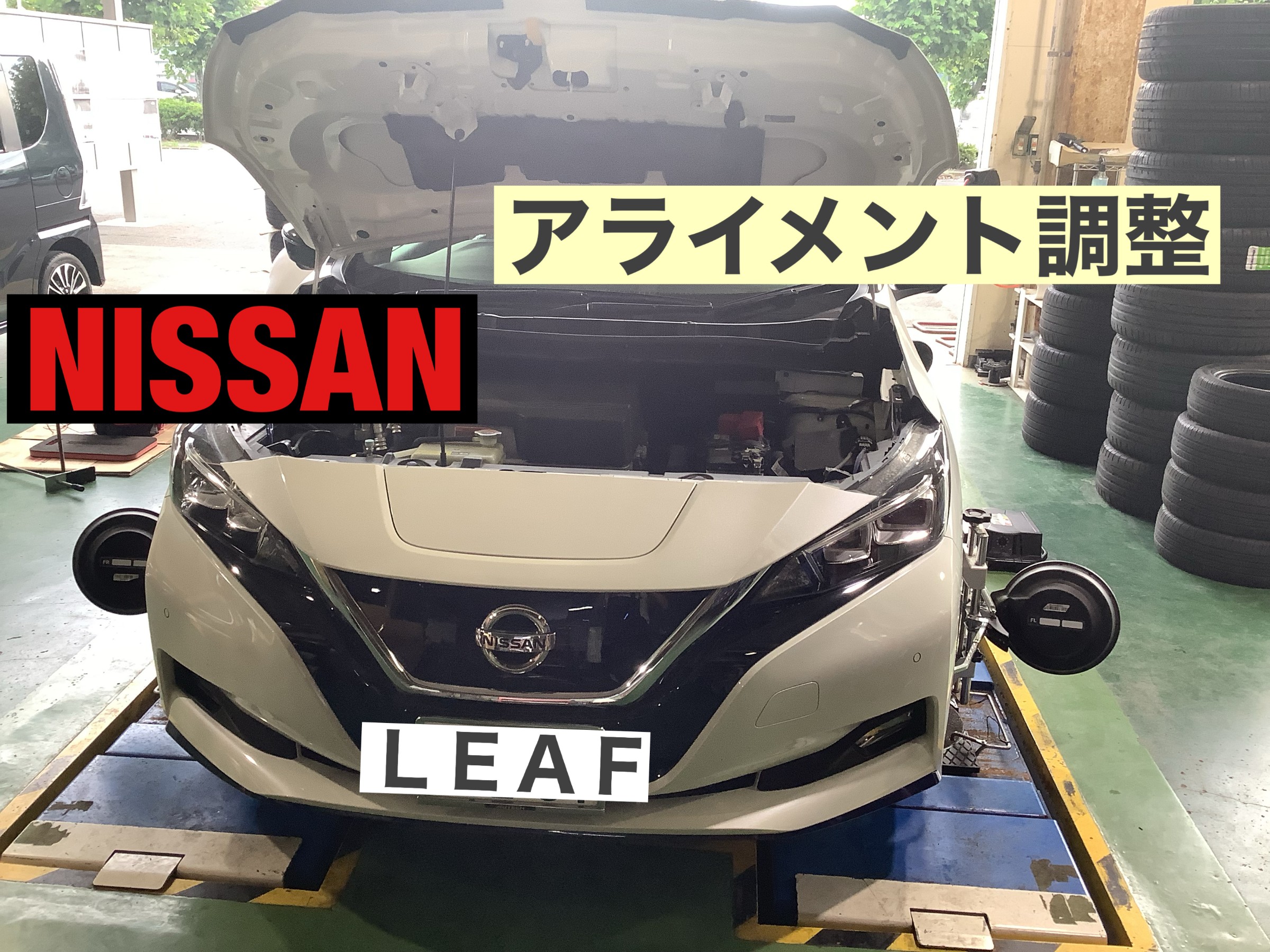 スタッフ撮影です。