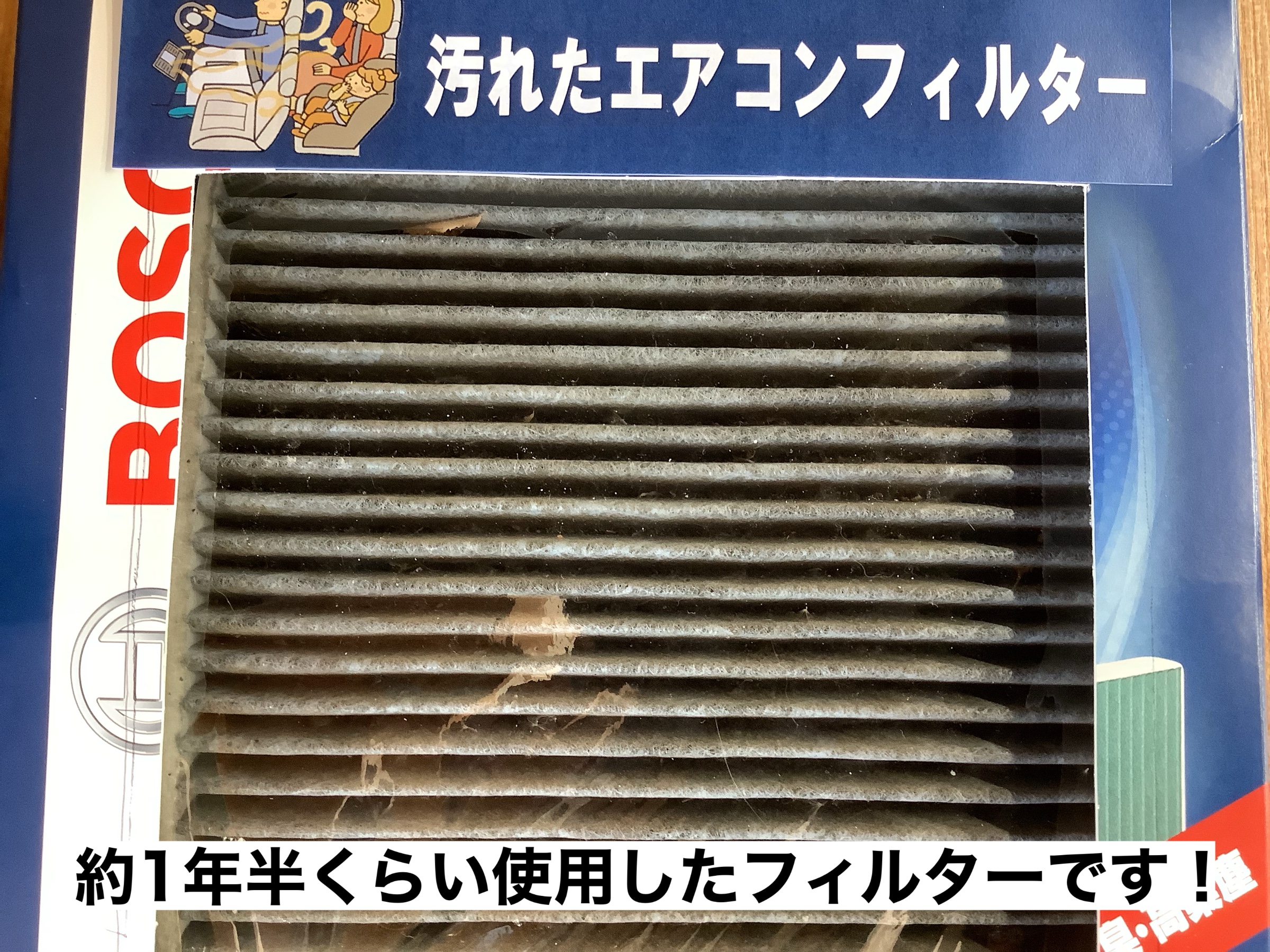 スタッフが撮影イラストは本社制作を使用