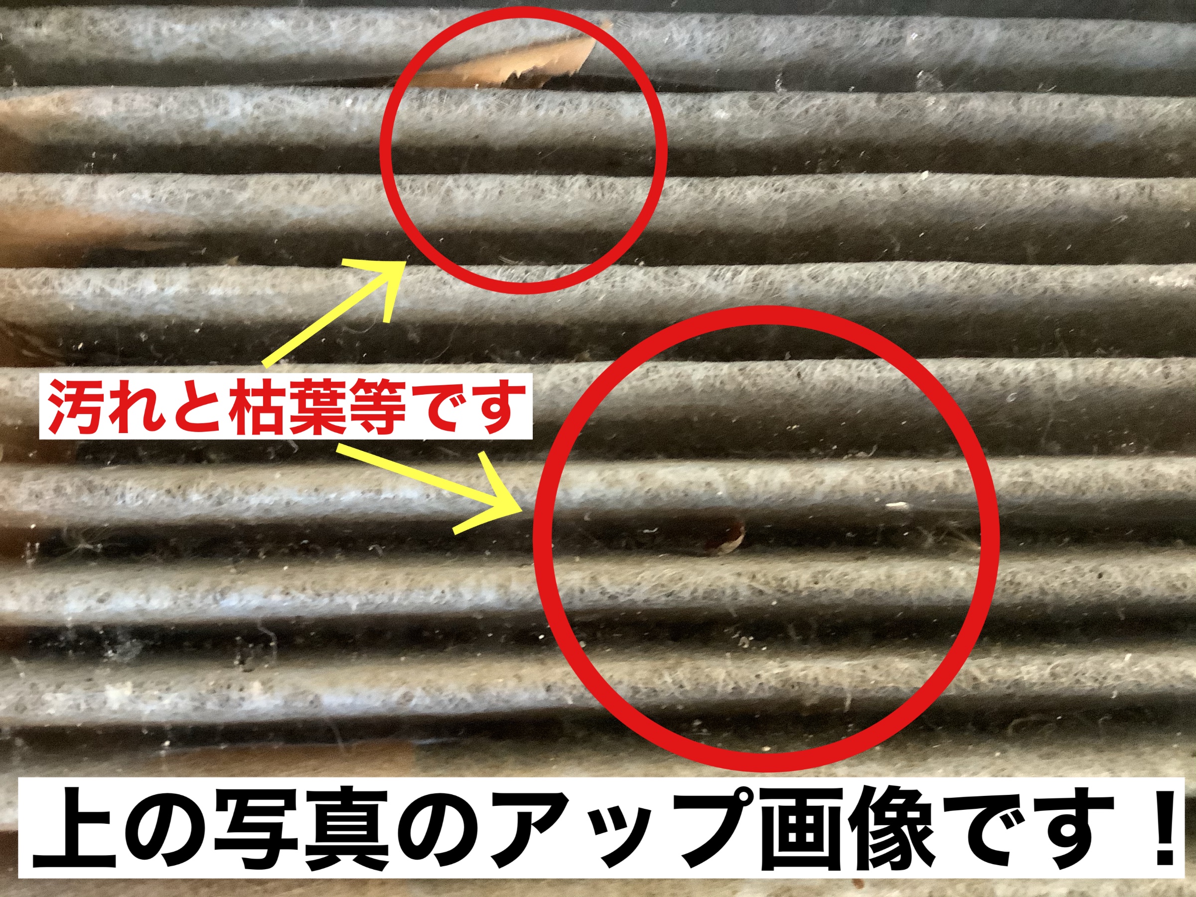 スタッフが撮影