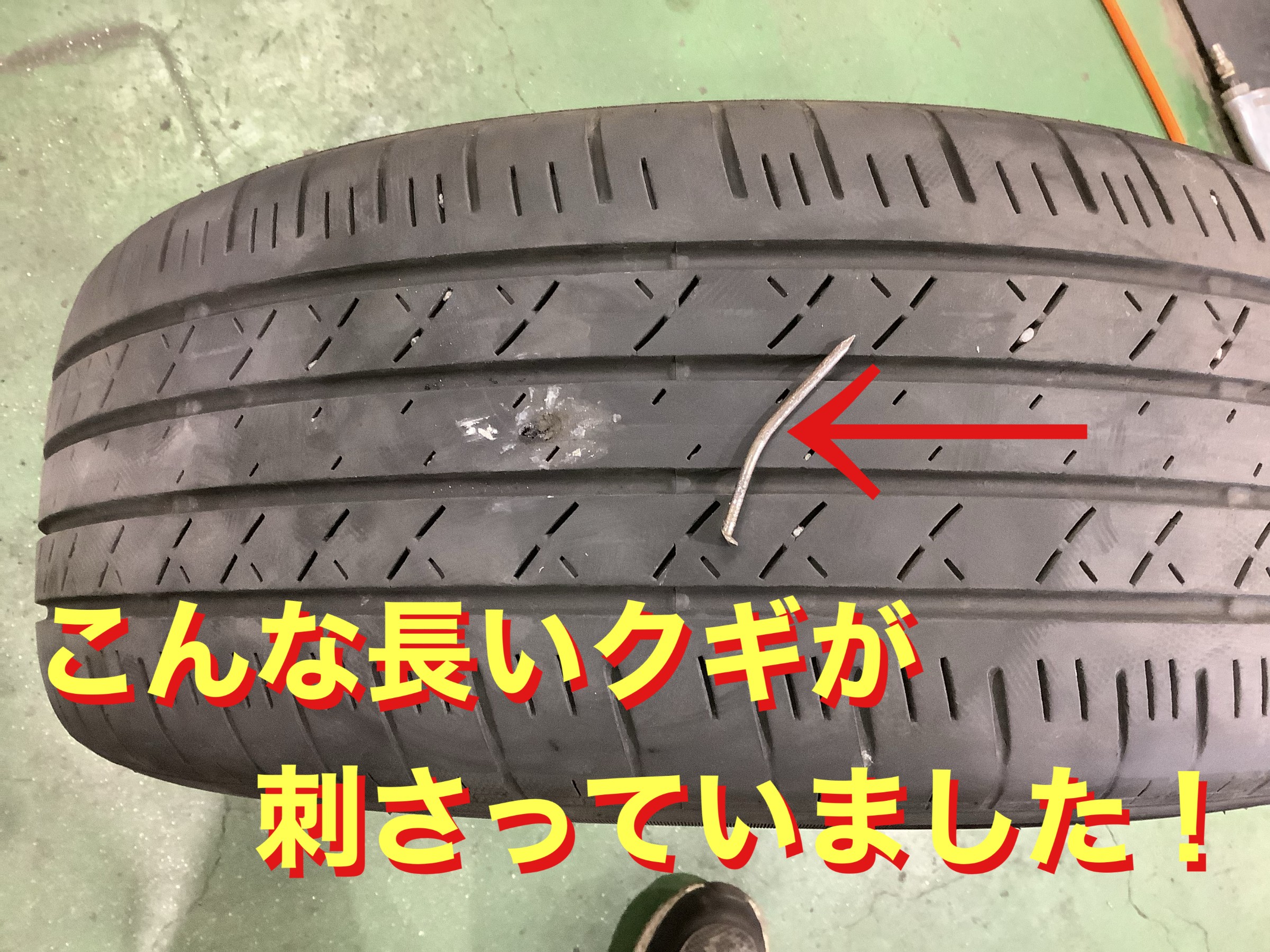 自店撮影です