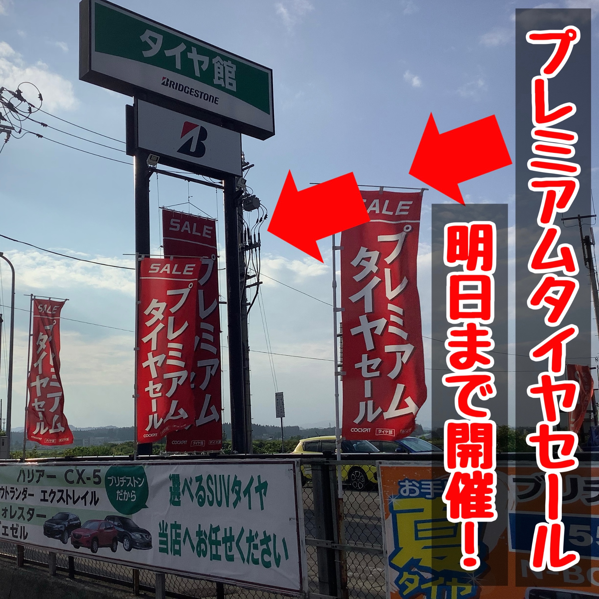 スタッフが撮影加工