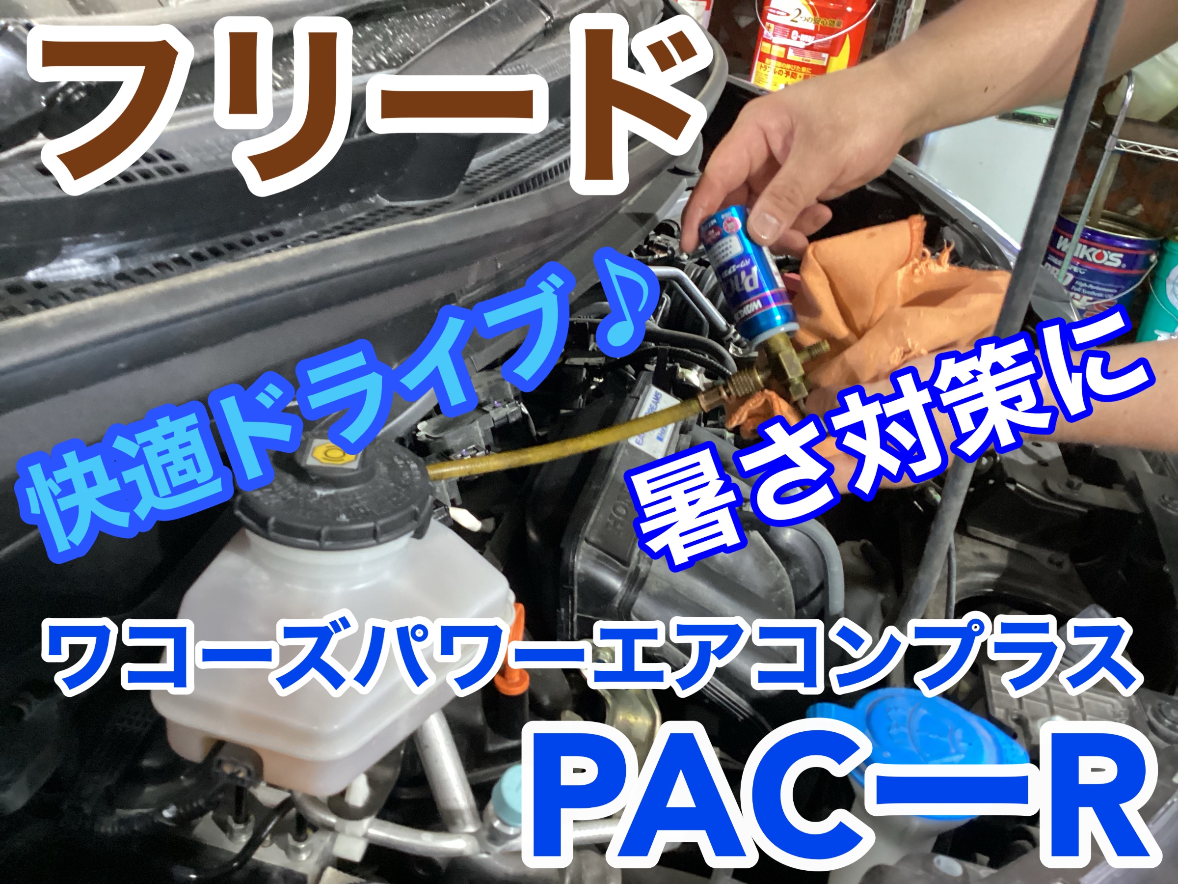 スタッフ撮影画像