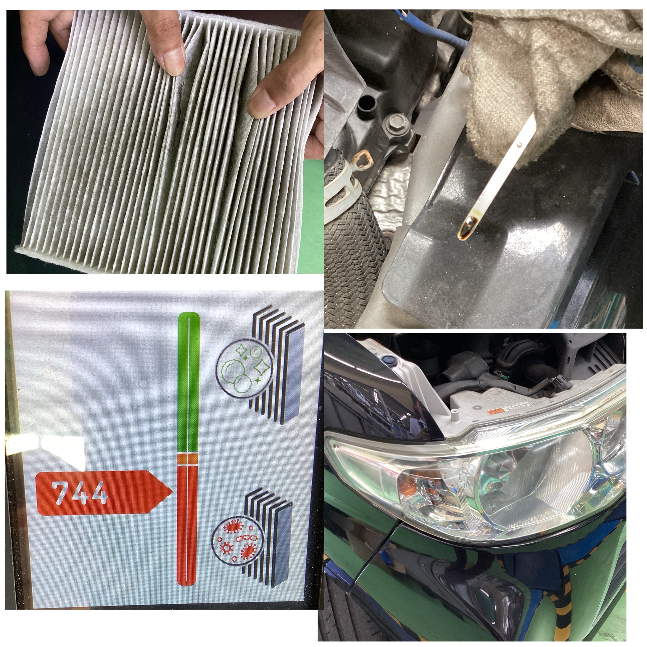 スタッフ撮影分