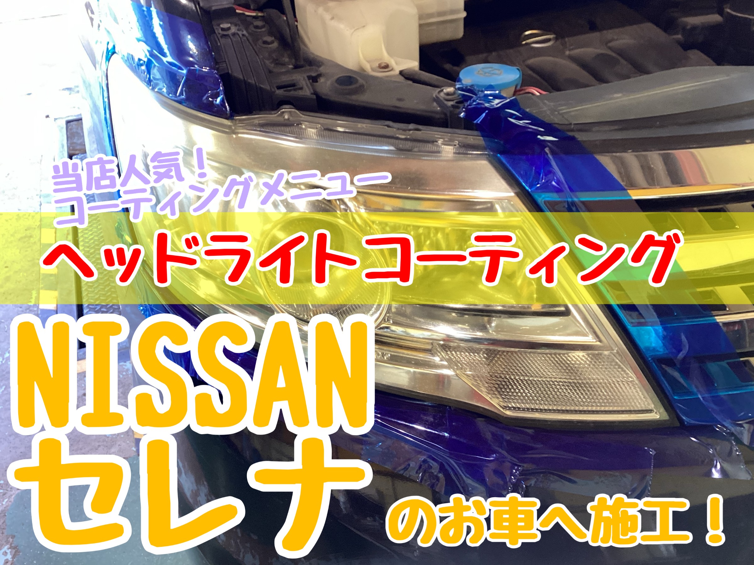 スタッフが撮影加工した画像