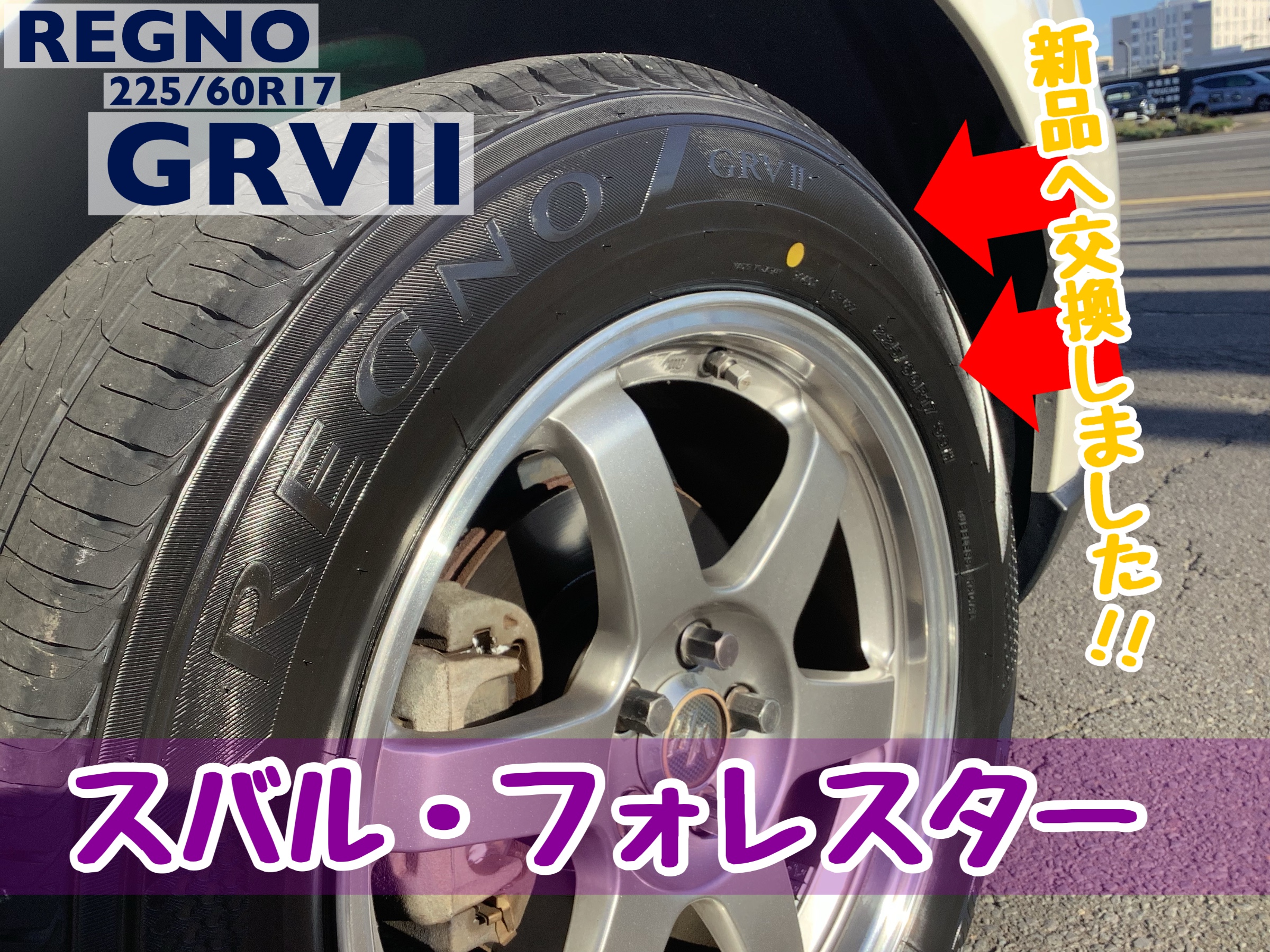 スタッフが撮影加工