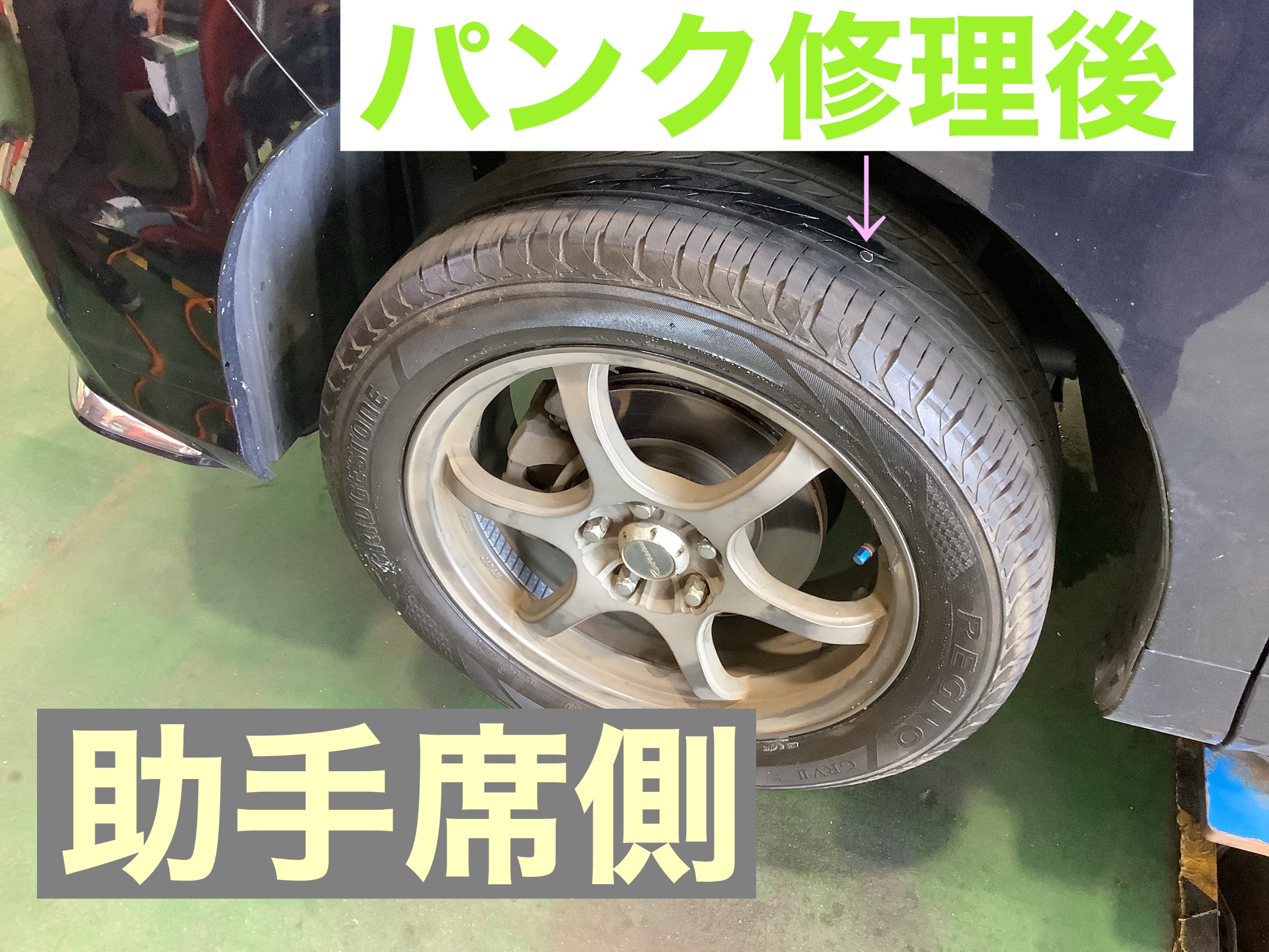 スタッフ撮影です。