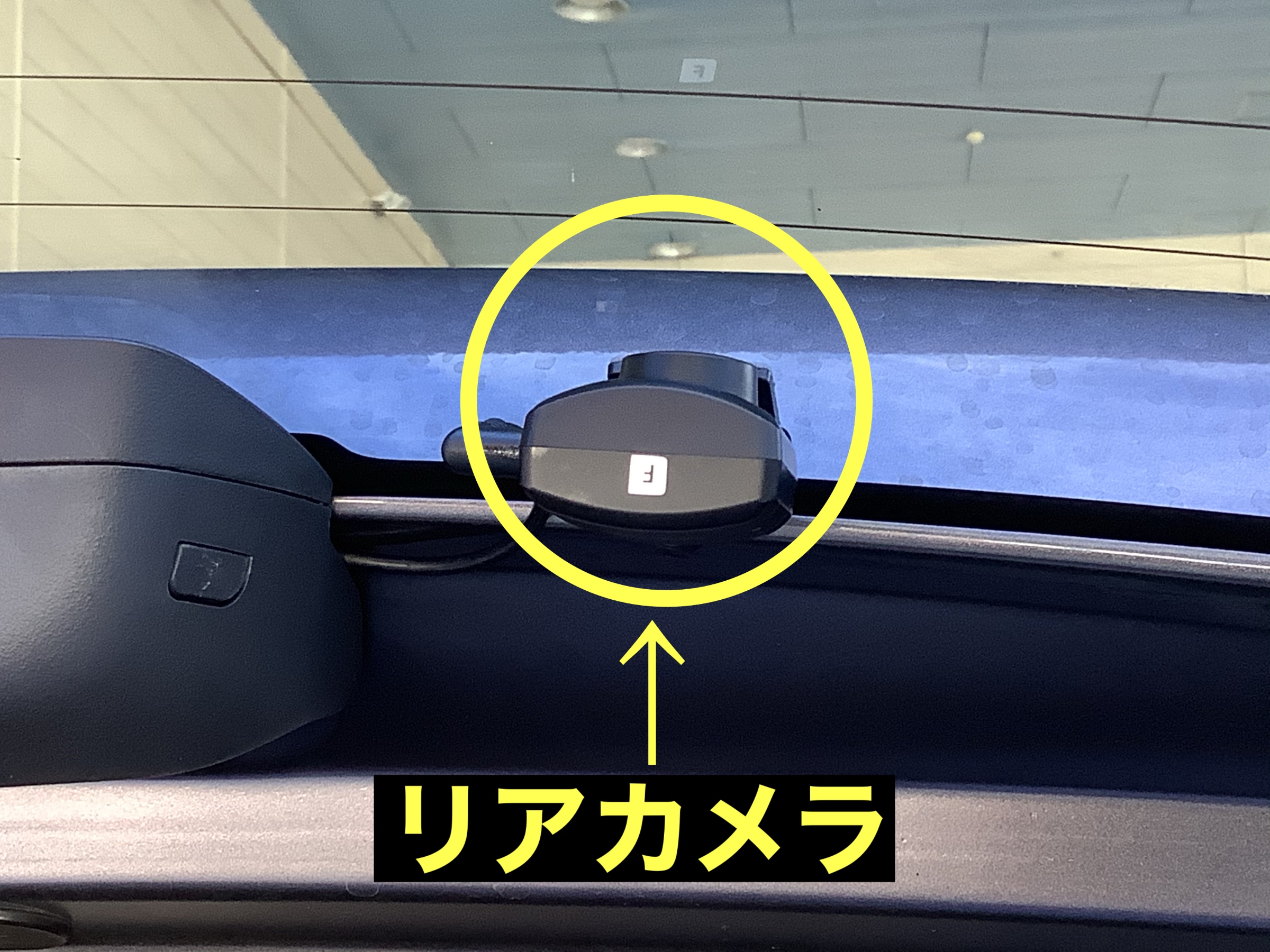 スタッフが撮影