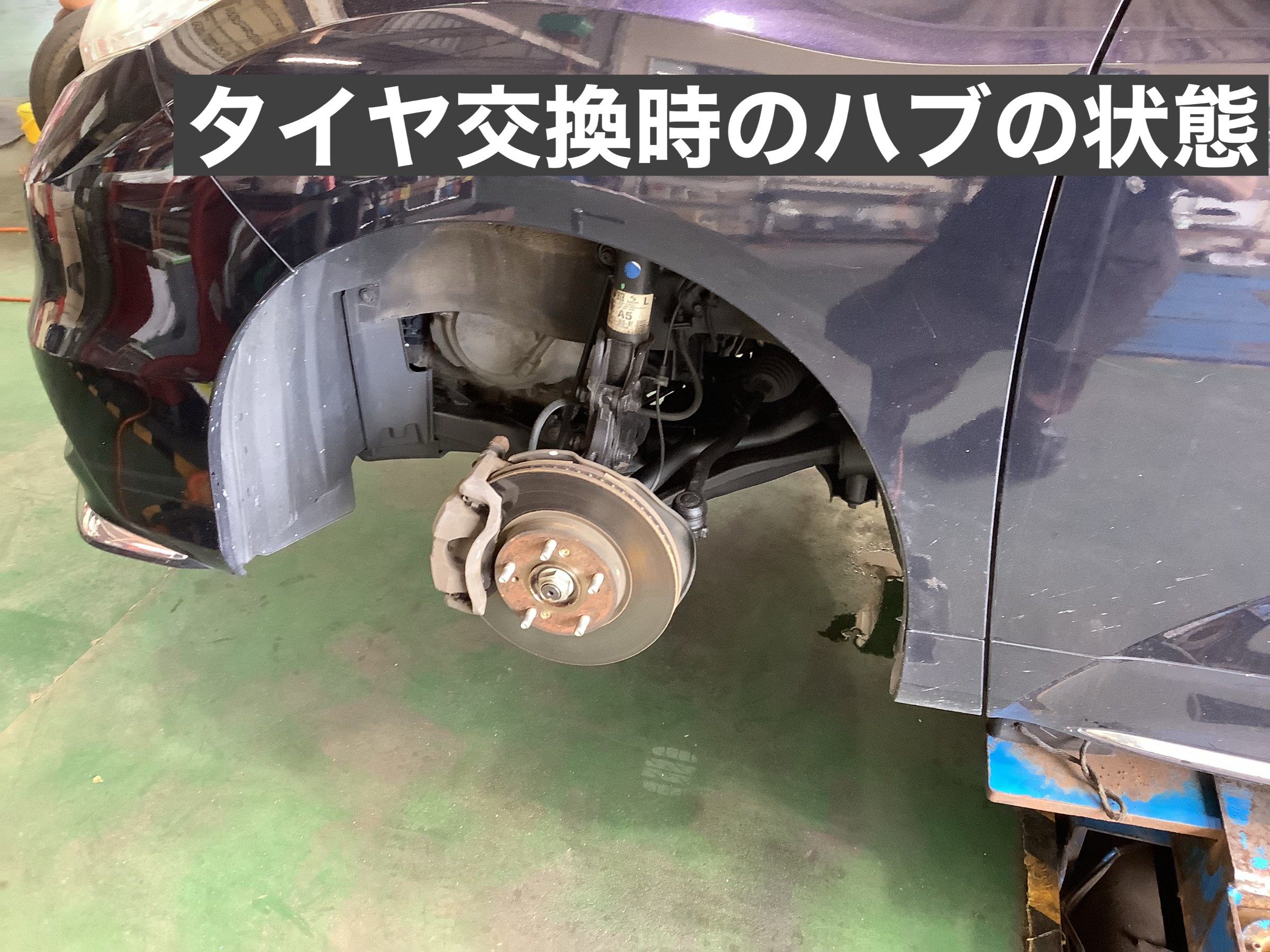 スタッフ撮影です。