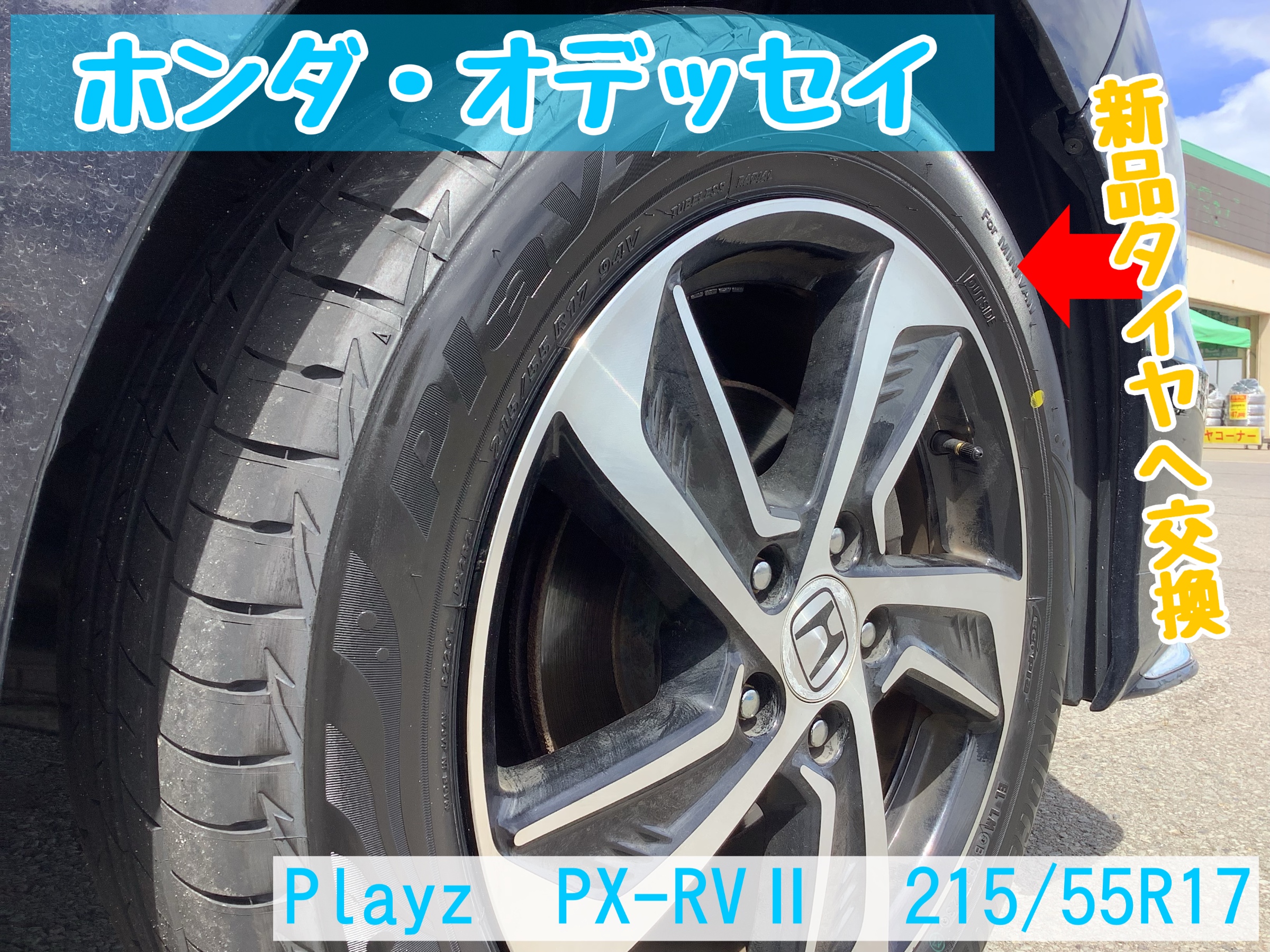 スタッフが撮影加工