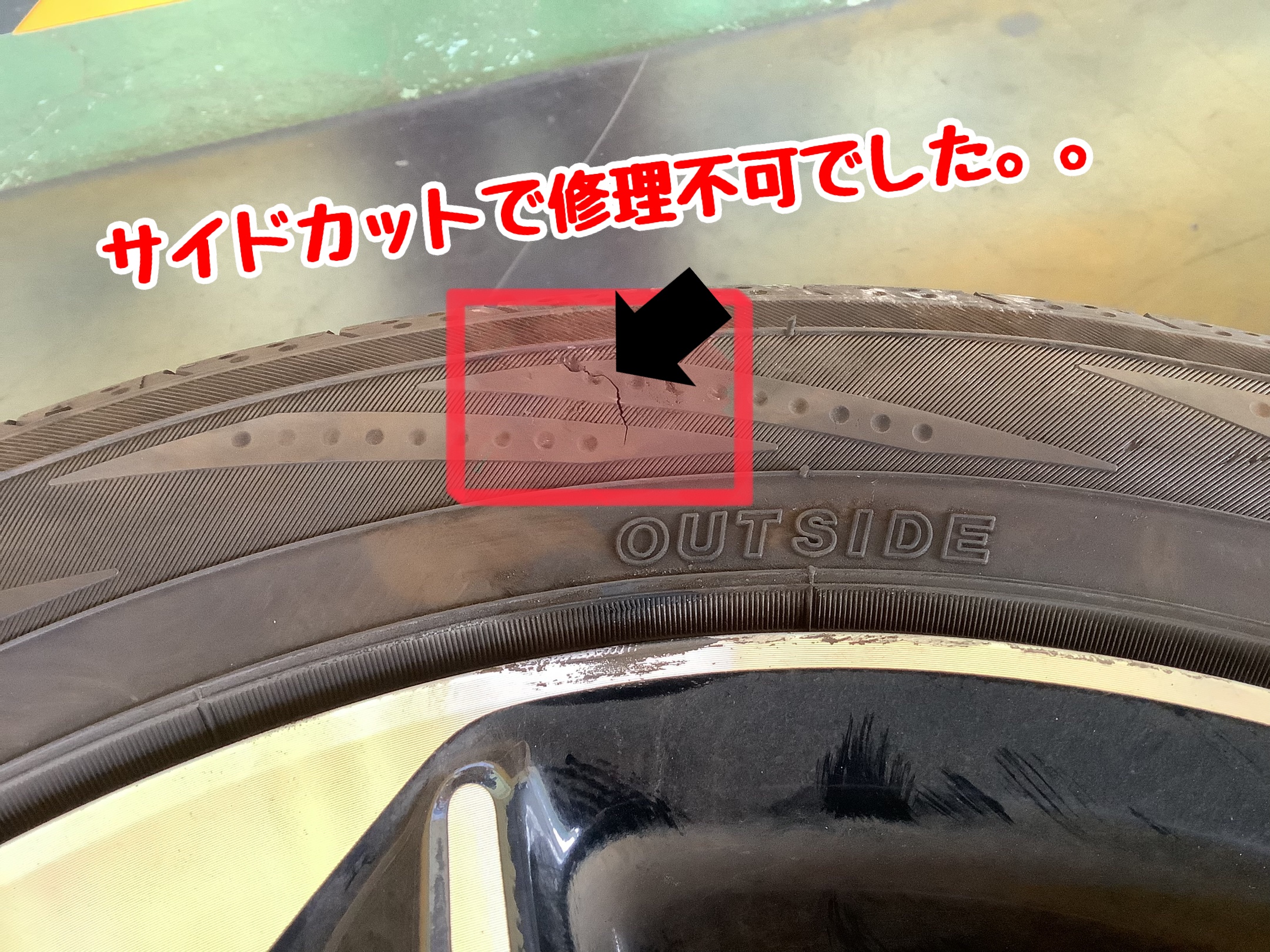 スタッフが撮影加工