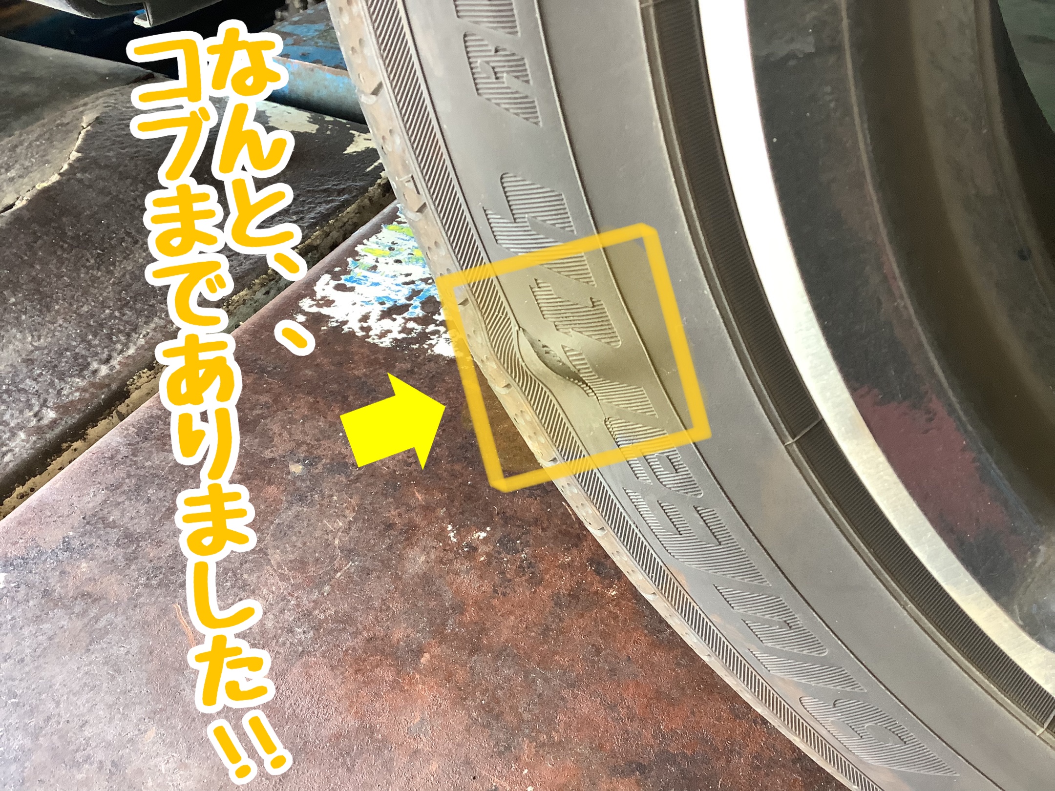 スタッフが撮影加工