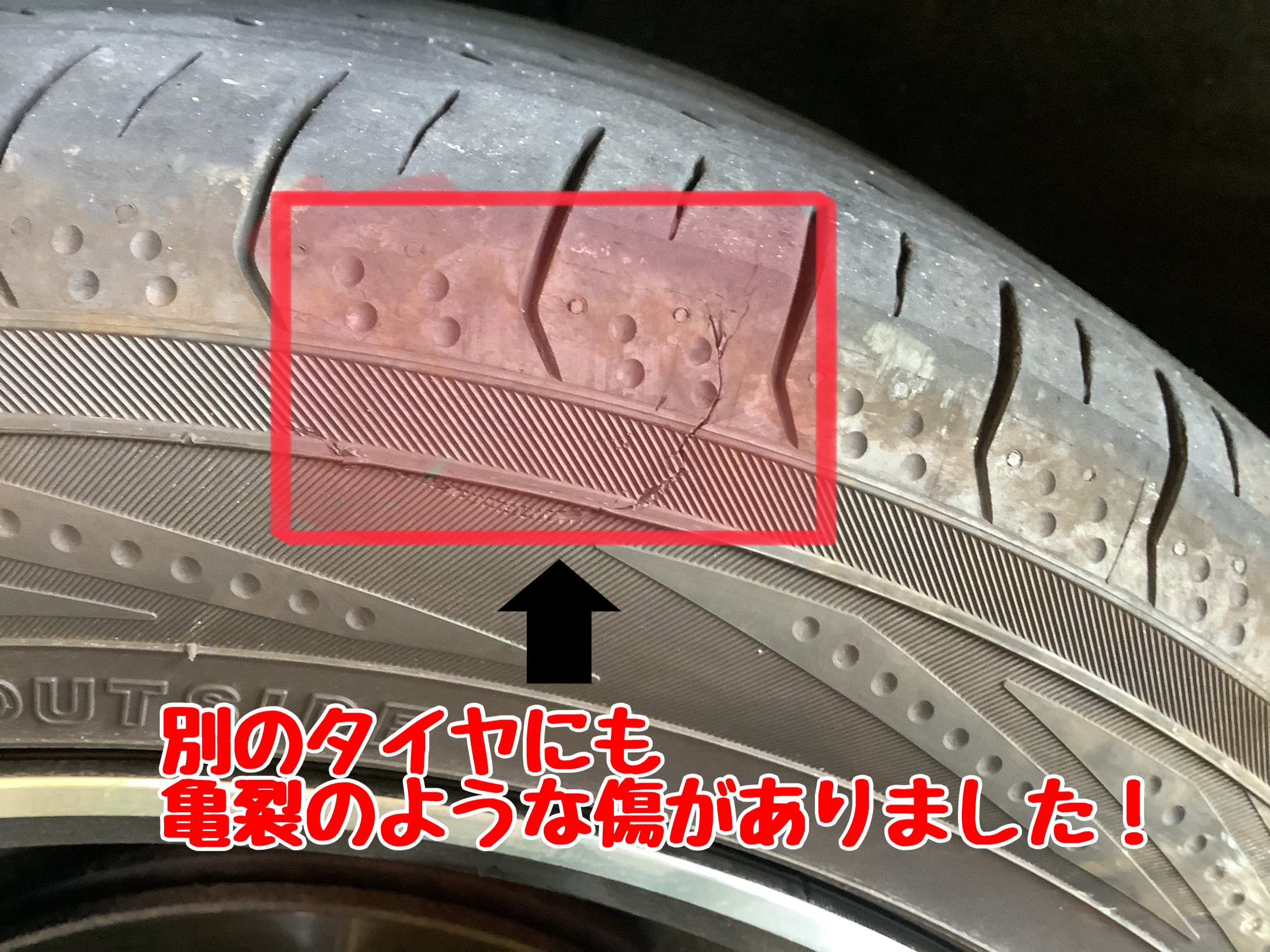 スタッフが撮影加工
