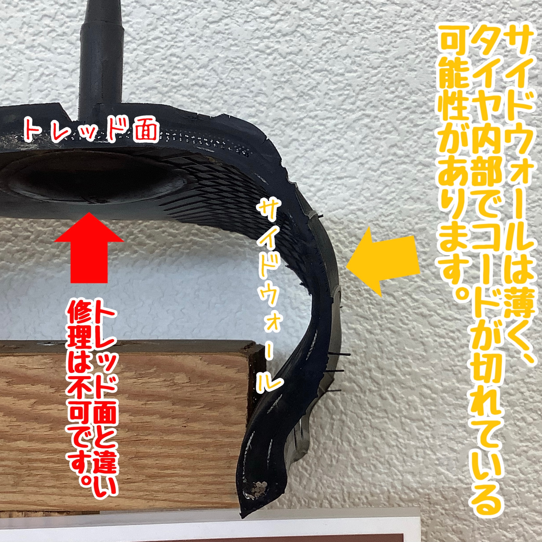 スタッフが撮影加工