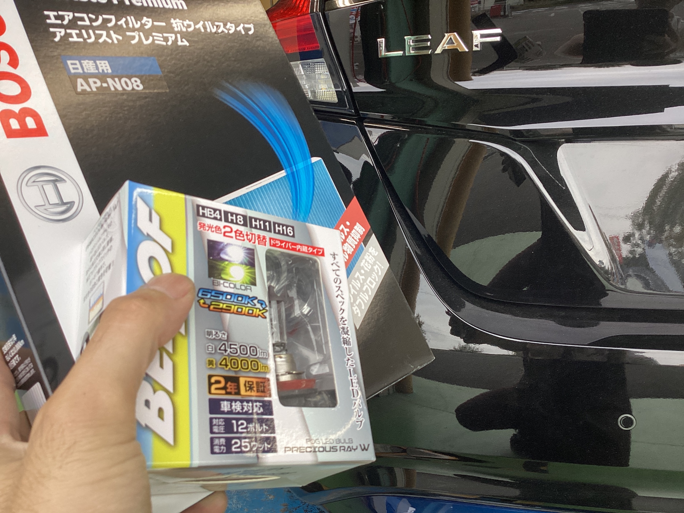 スタッフ撮影分