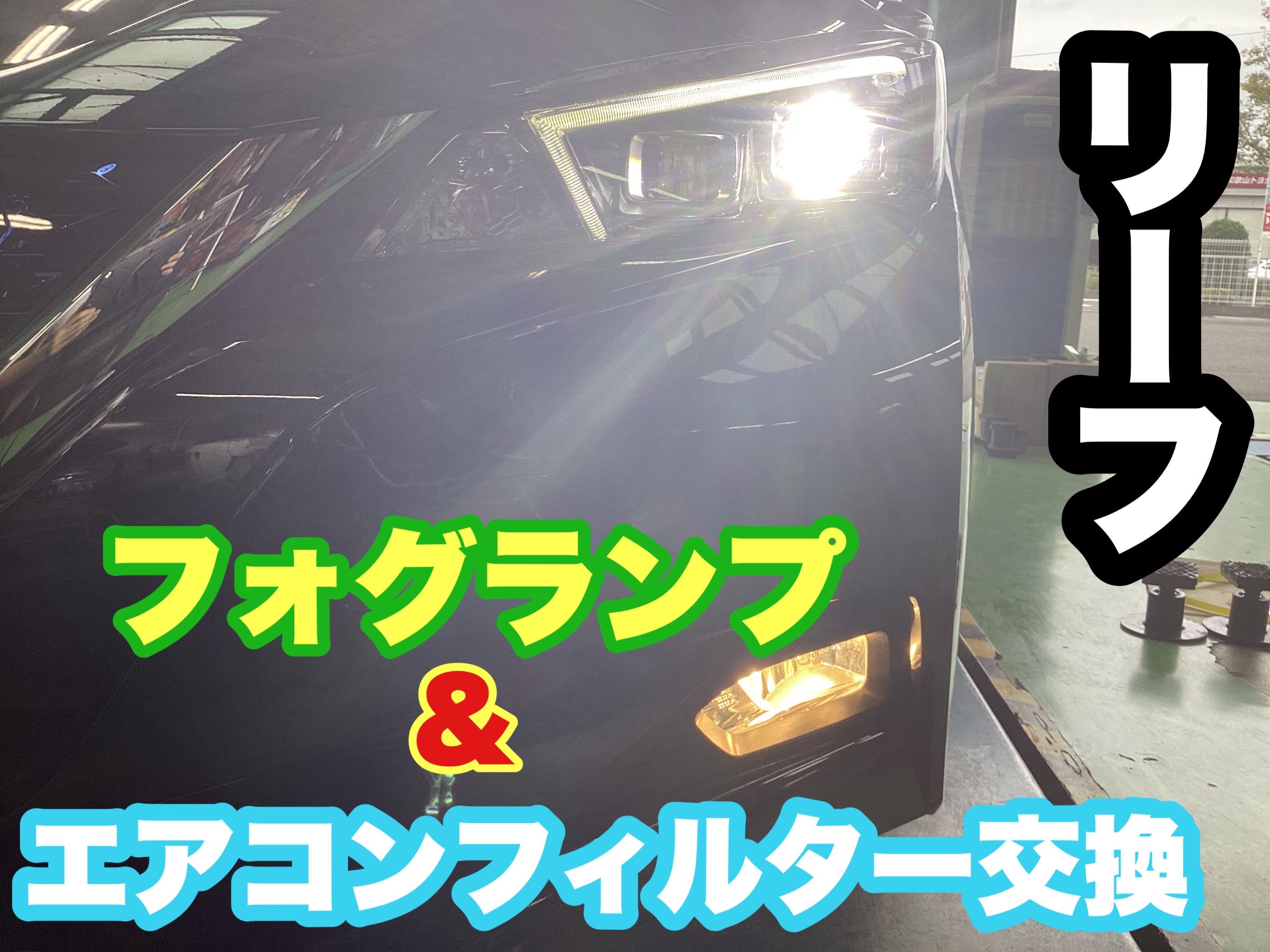 スタッフ撮影分