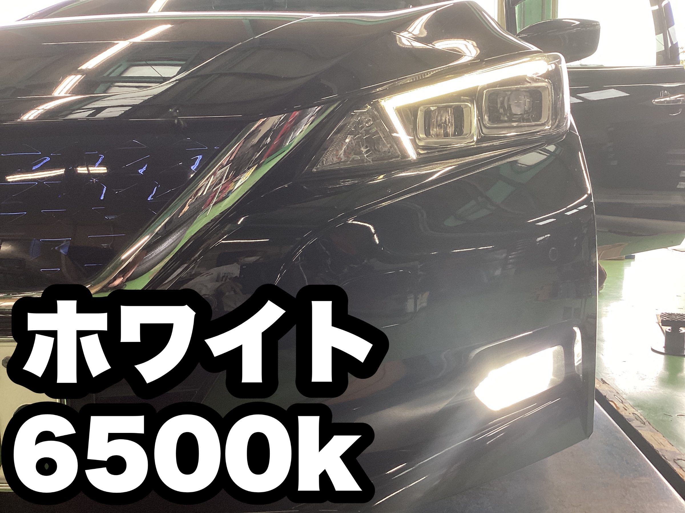 スタッフ撮影分