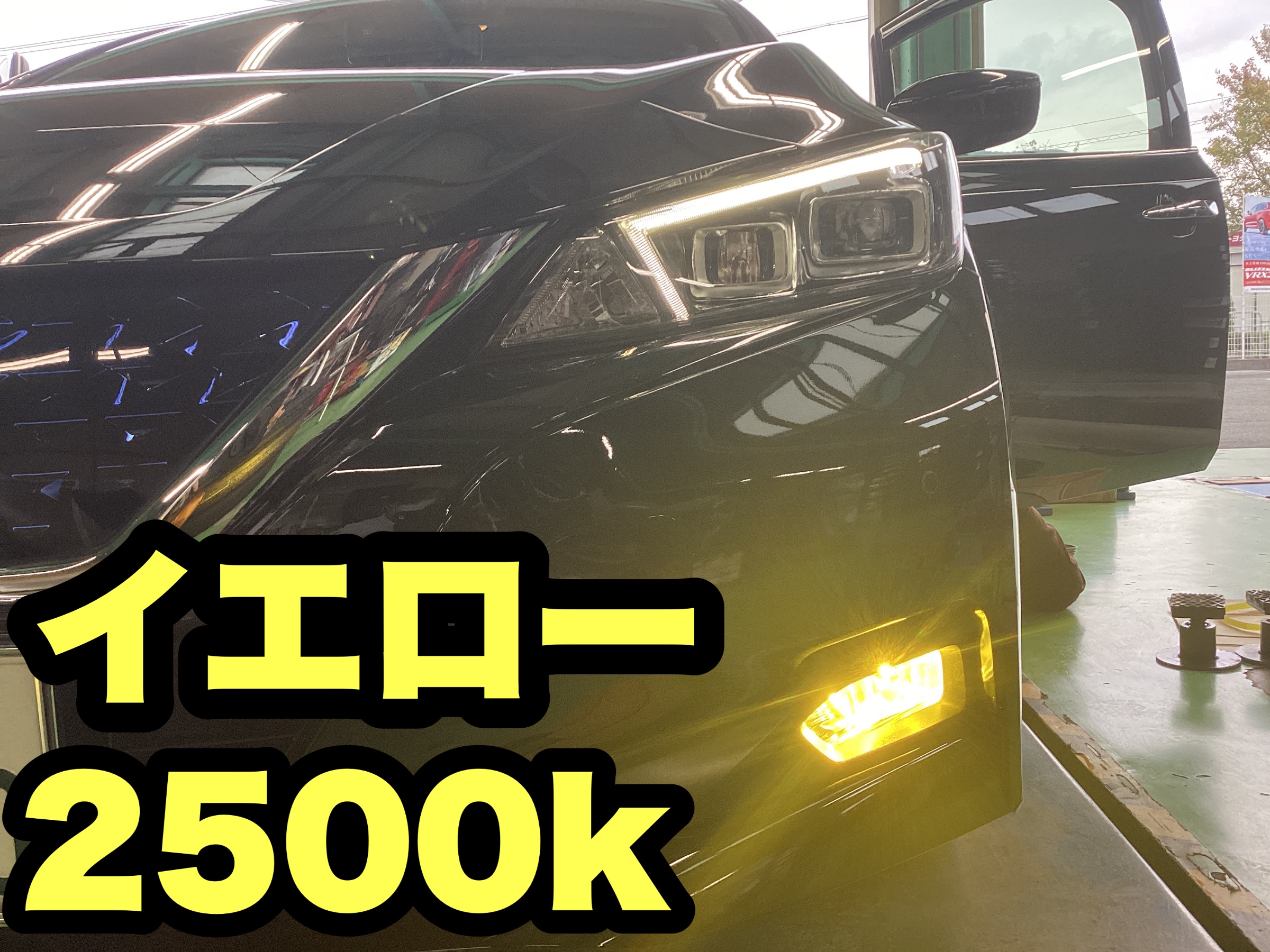 スタッフ撮影分