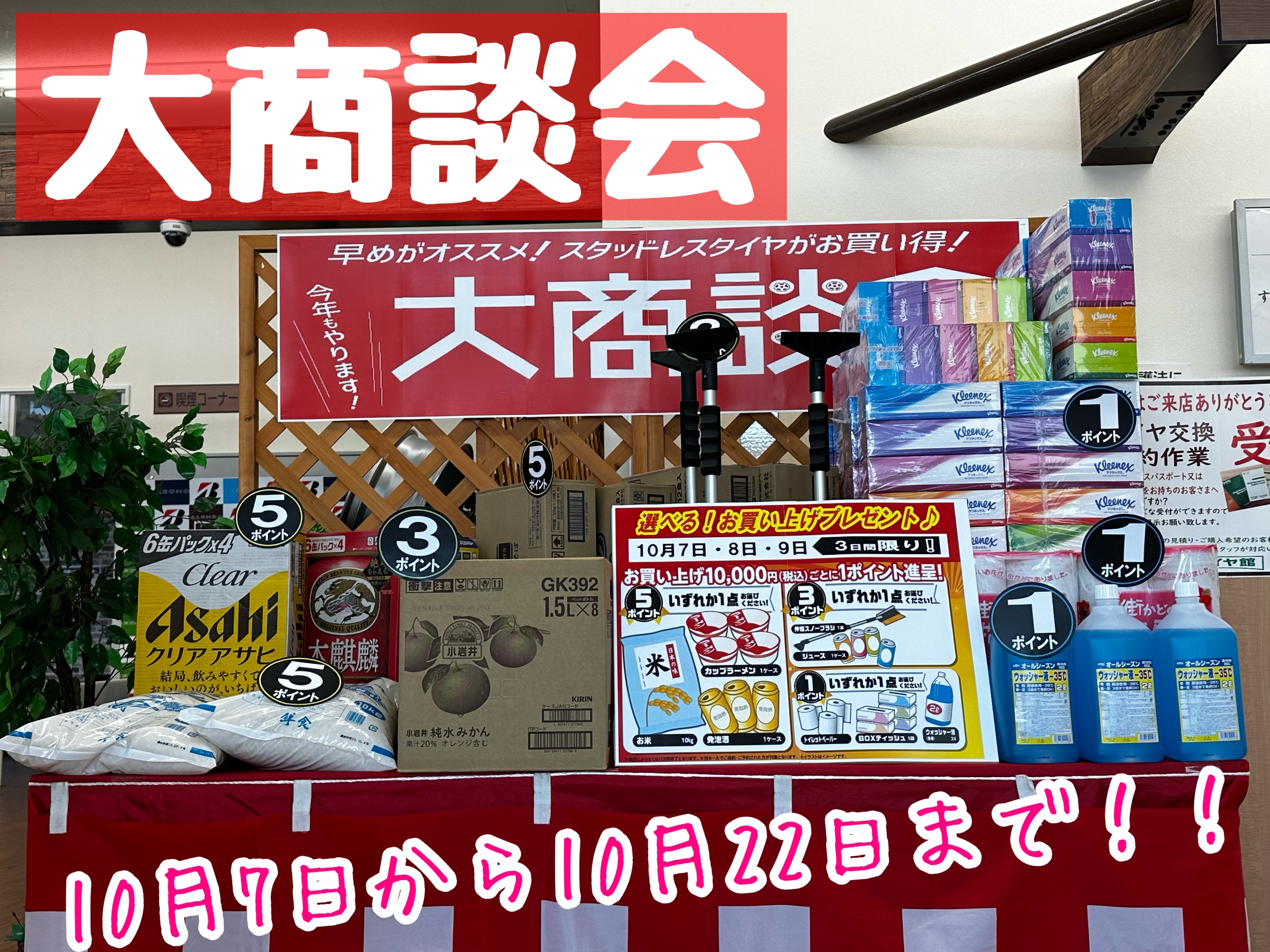 スタッフが撮影加工した画像