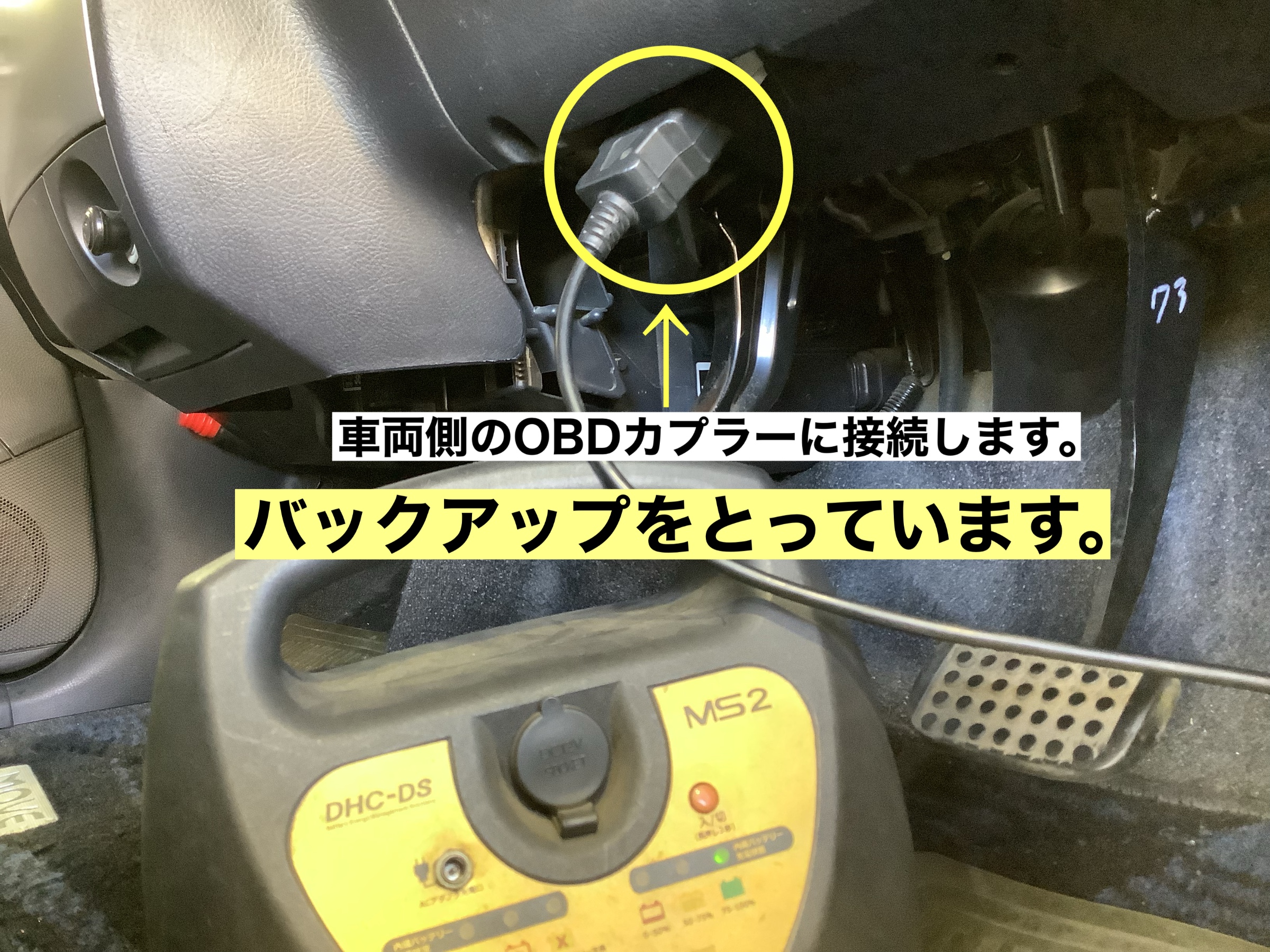 スタッフが撮影