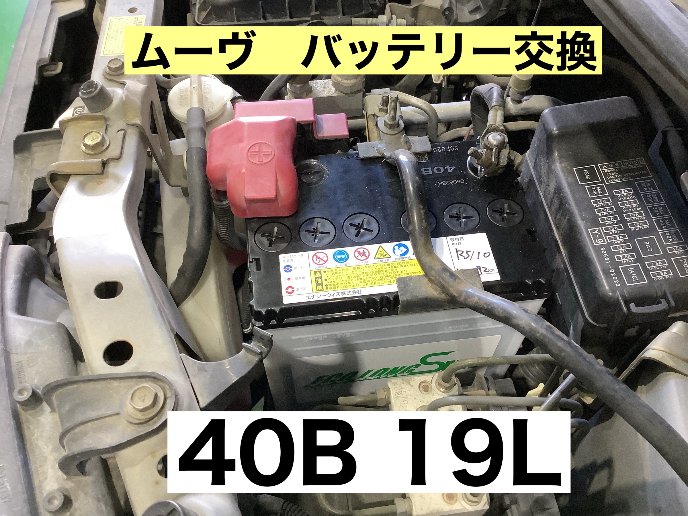 スタッフが撮影