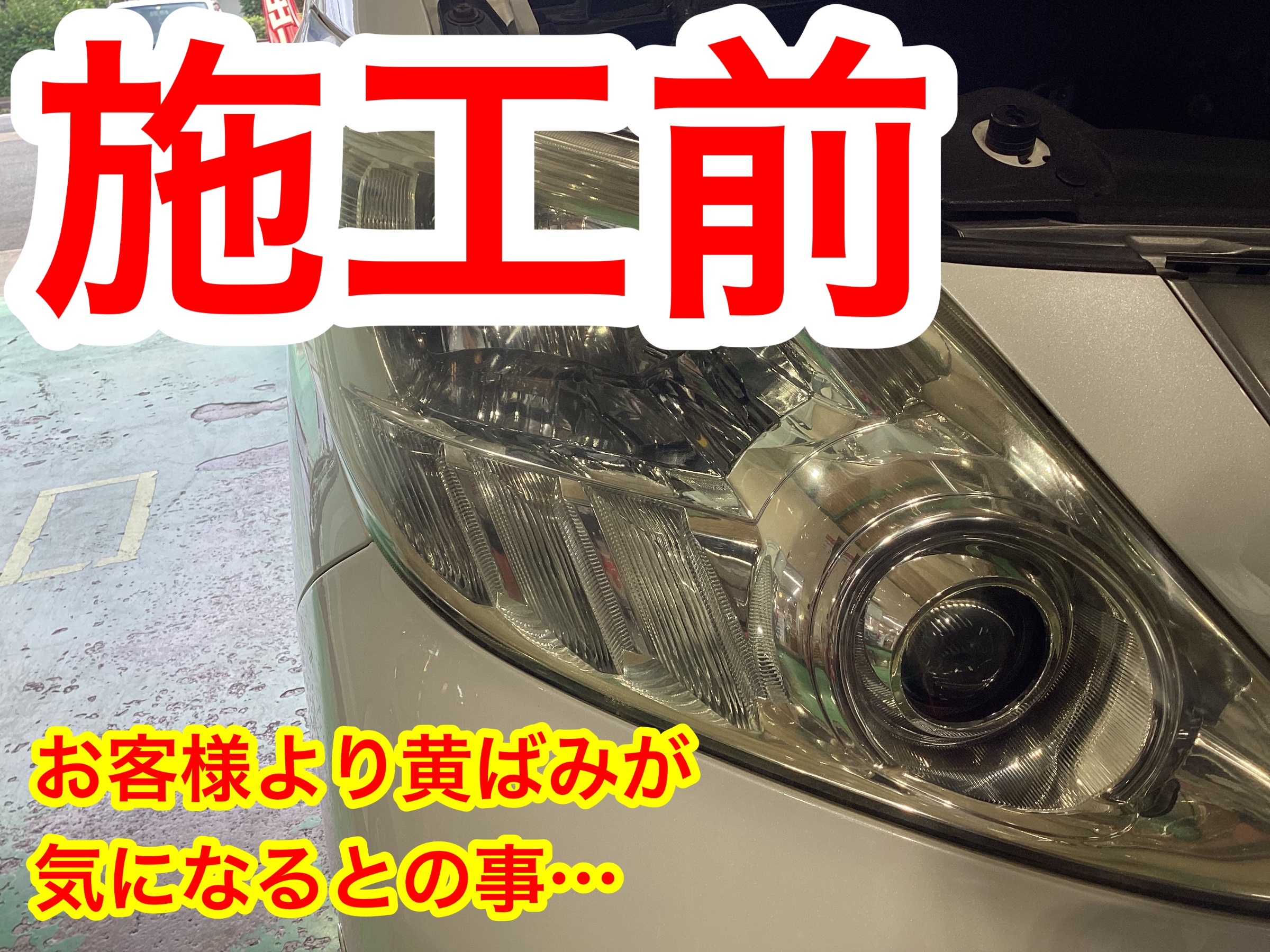 スタッフ撮影画像