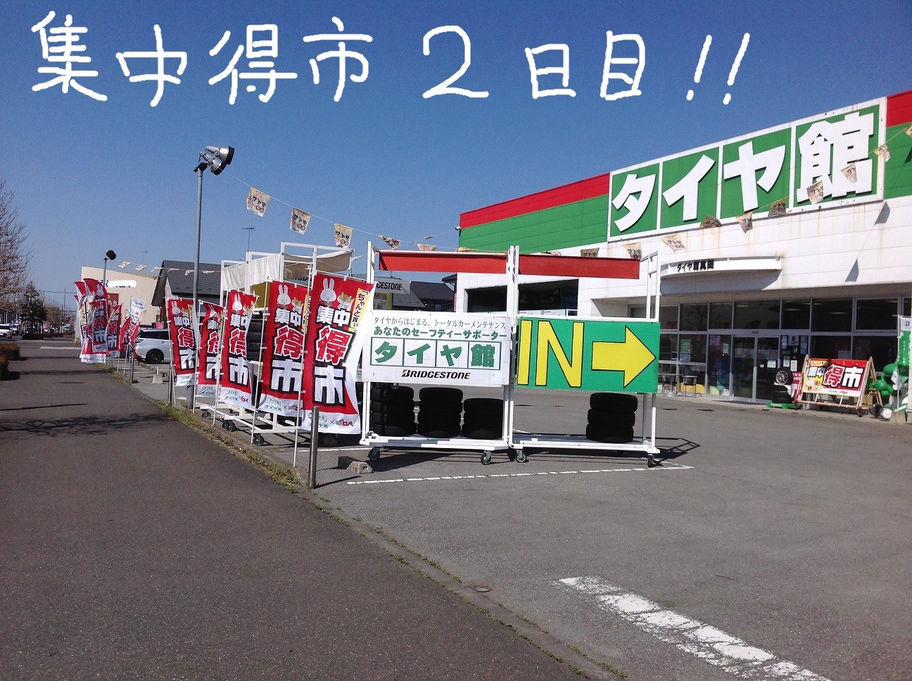 スタッフ撮影です。