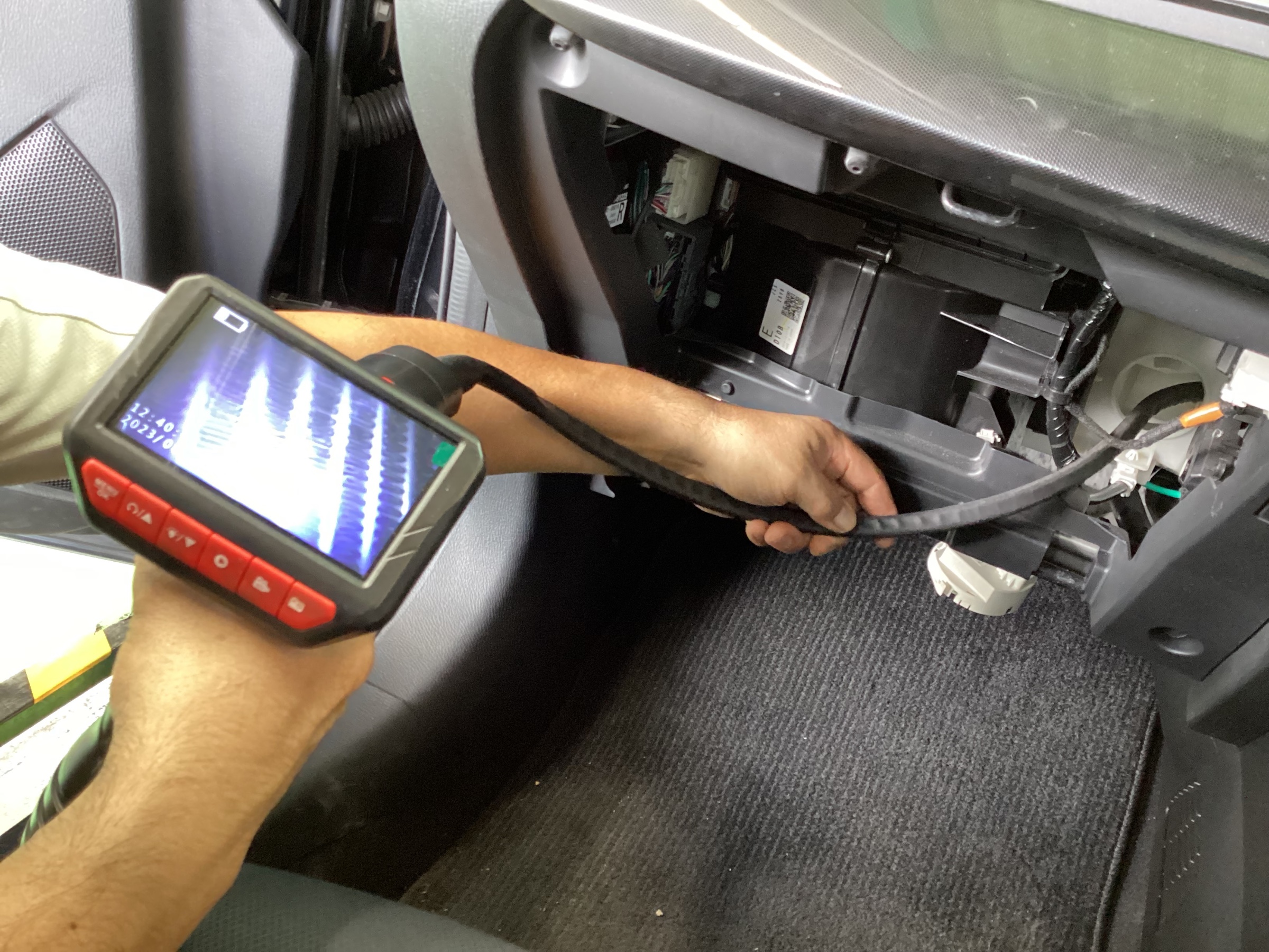 スタッフ撮影分