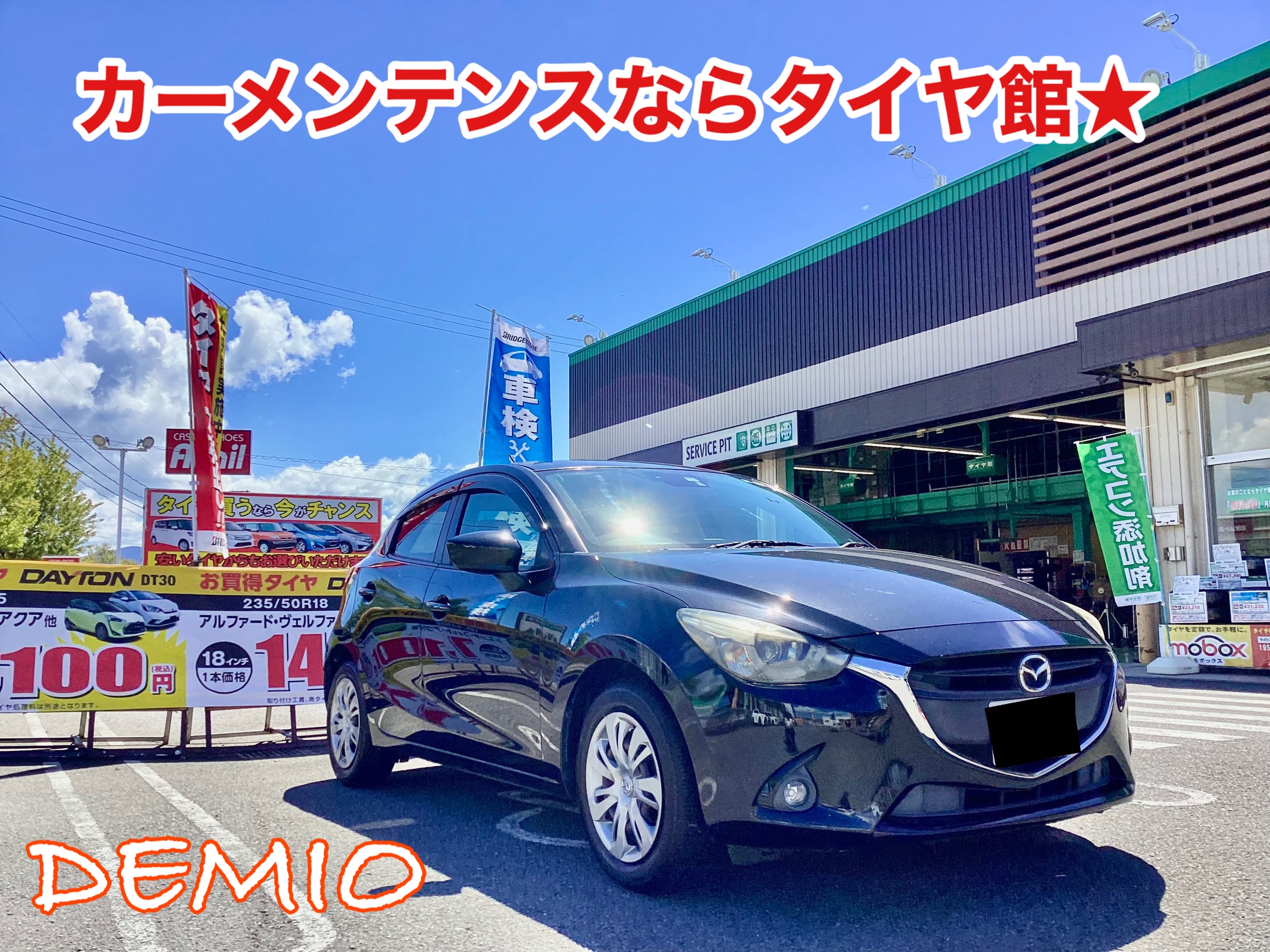 スタッフ撮影分