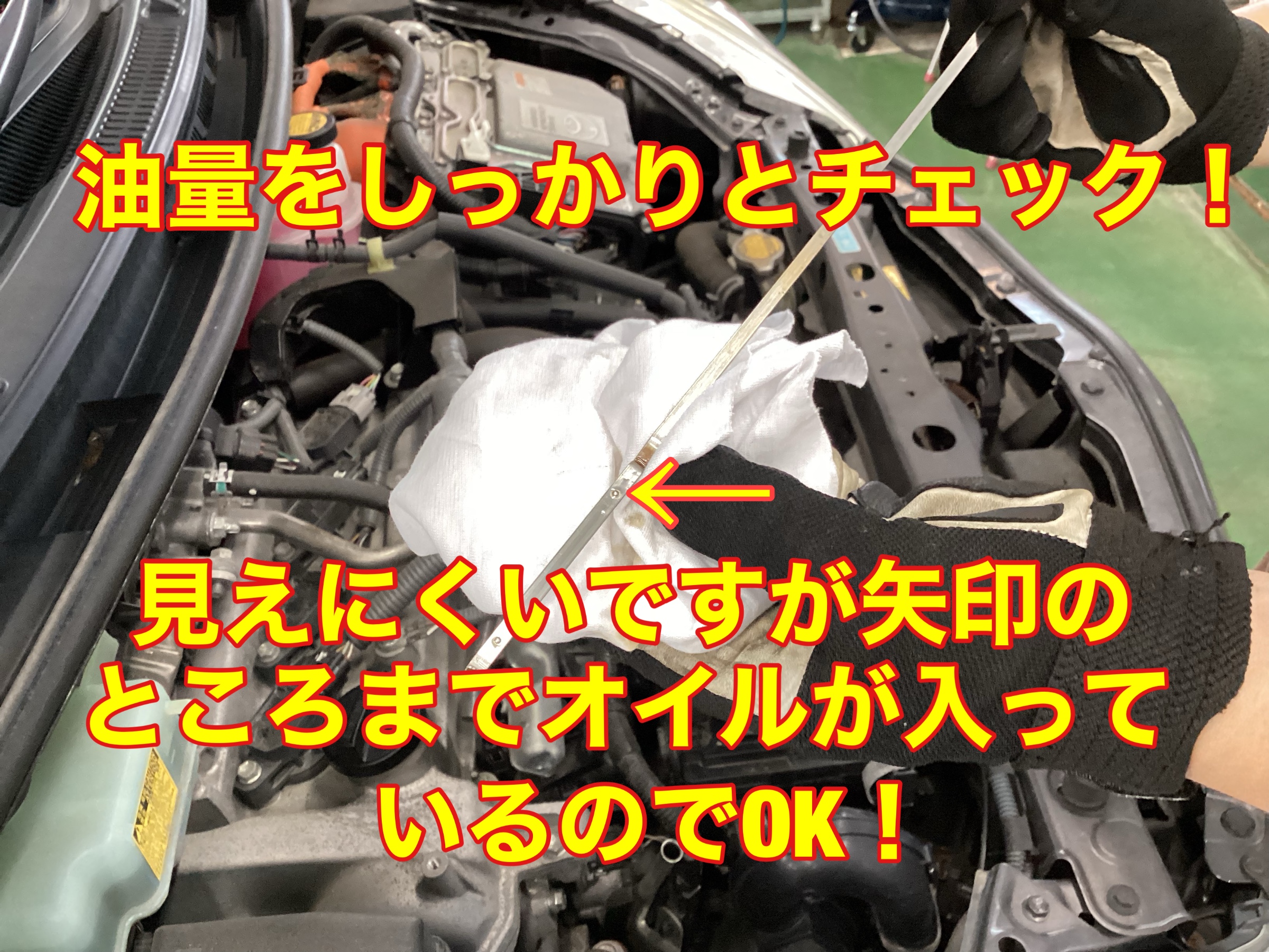 スタッフ撮影