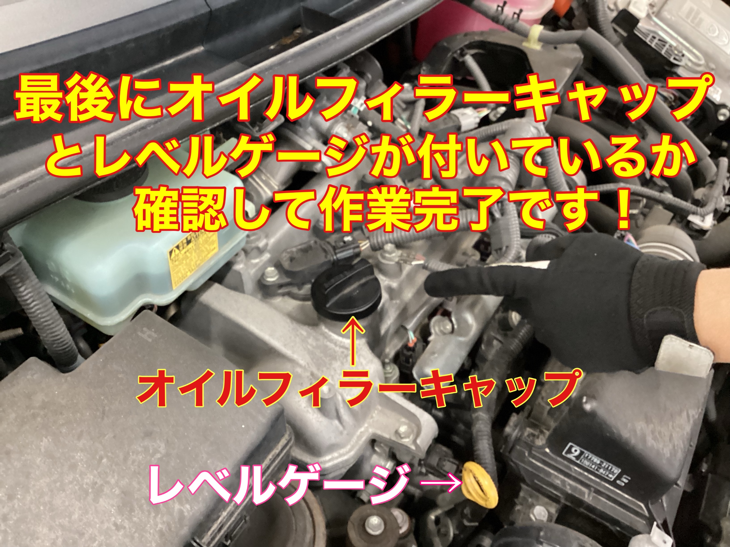 スタッフ撮影