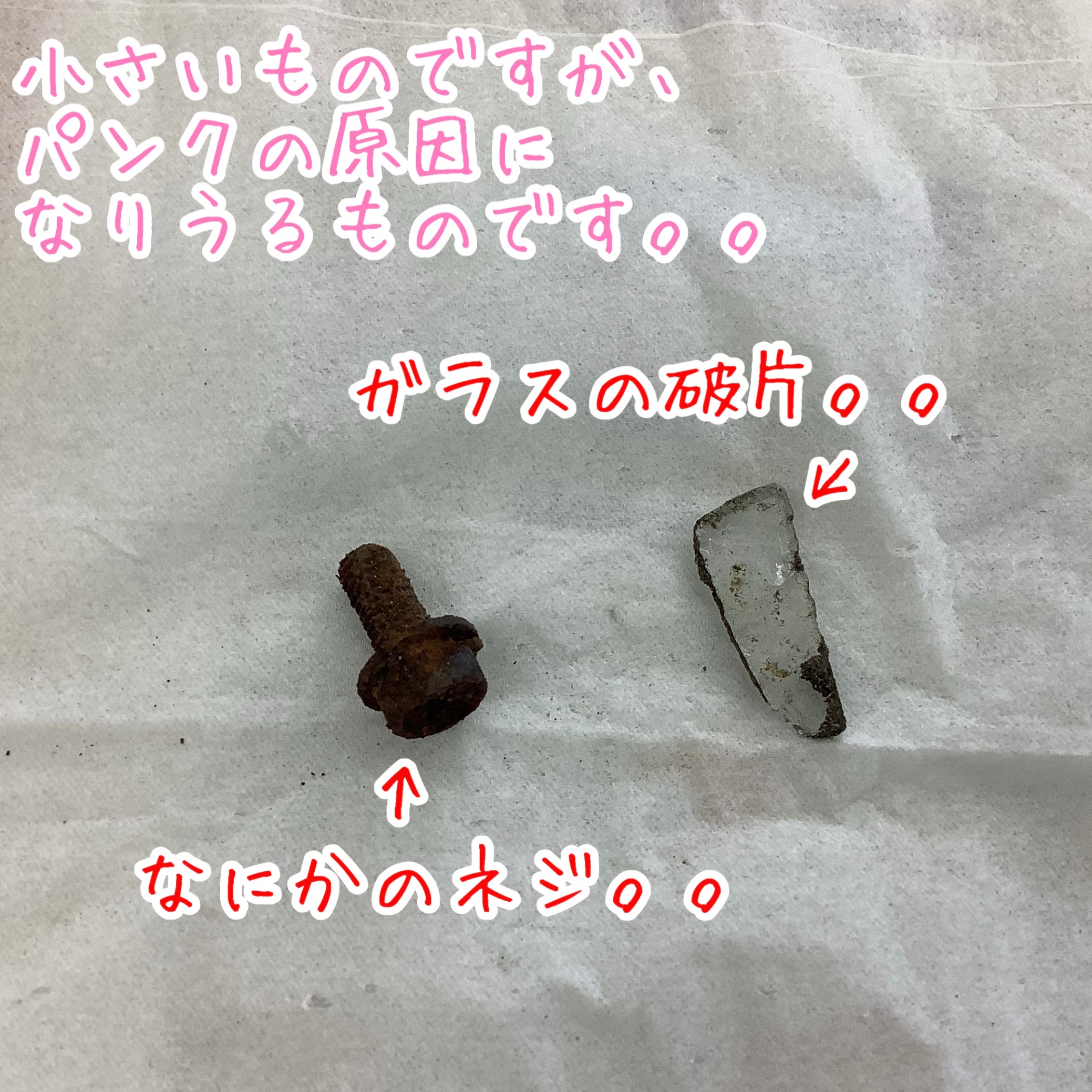 スタッフが撮影加工