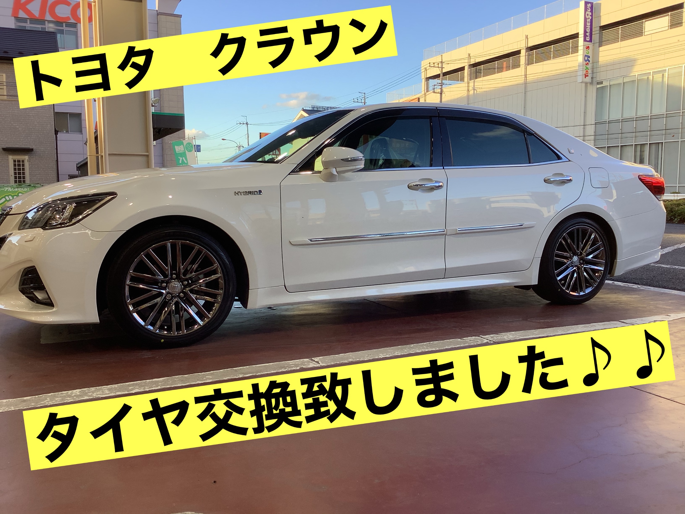 スタッフが撮影