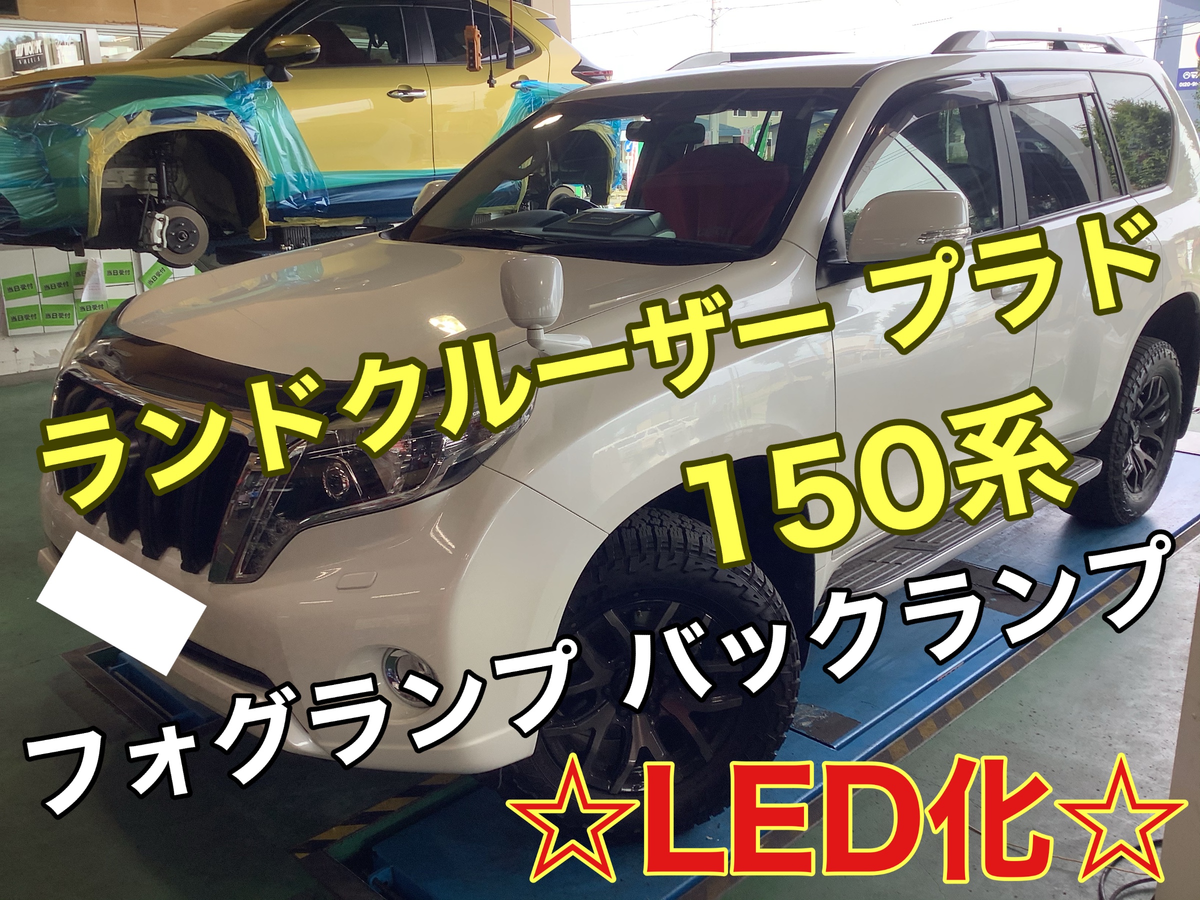 スタッフが撮影