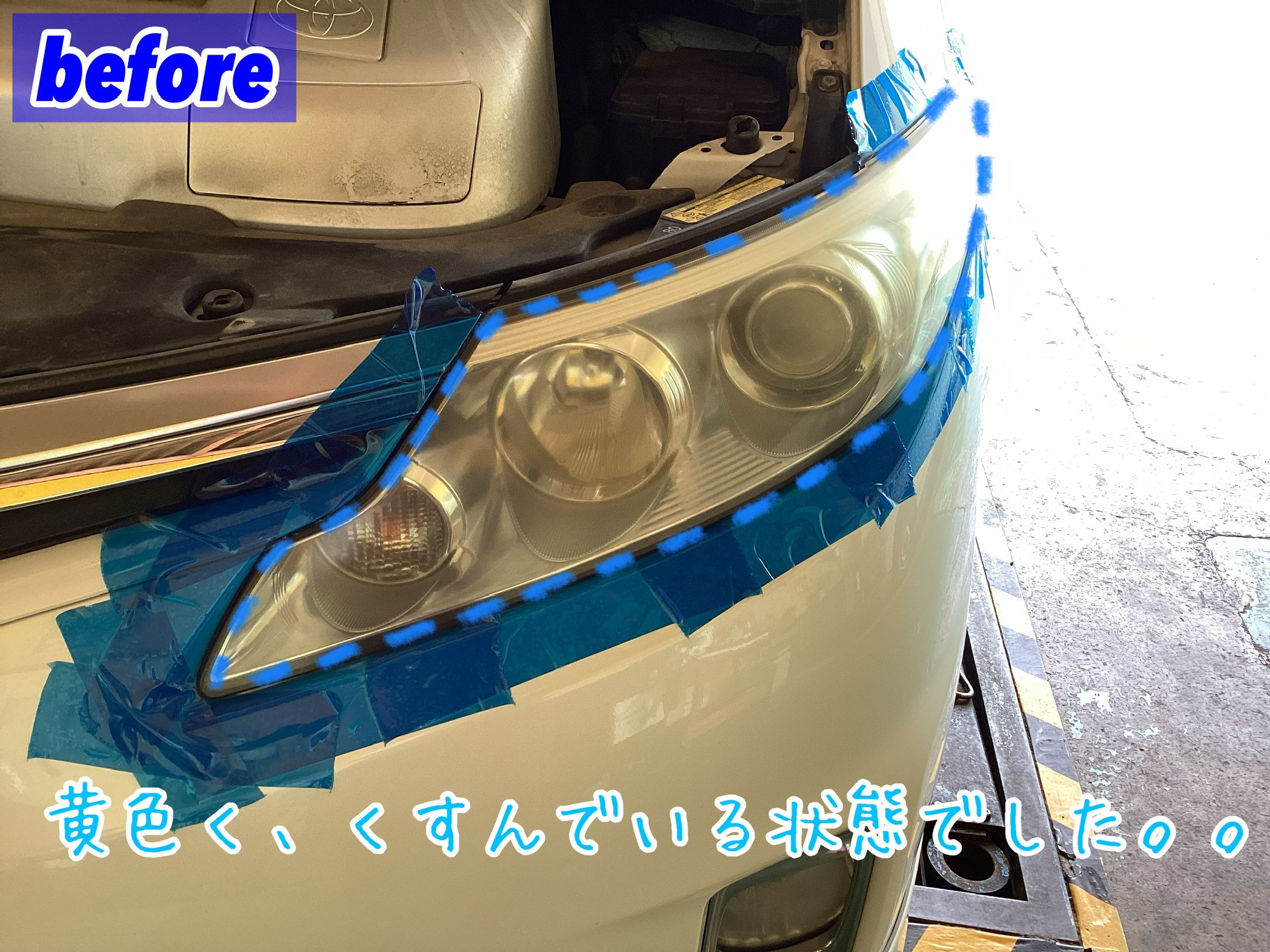 スタッフが撮影加工した画像