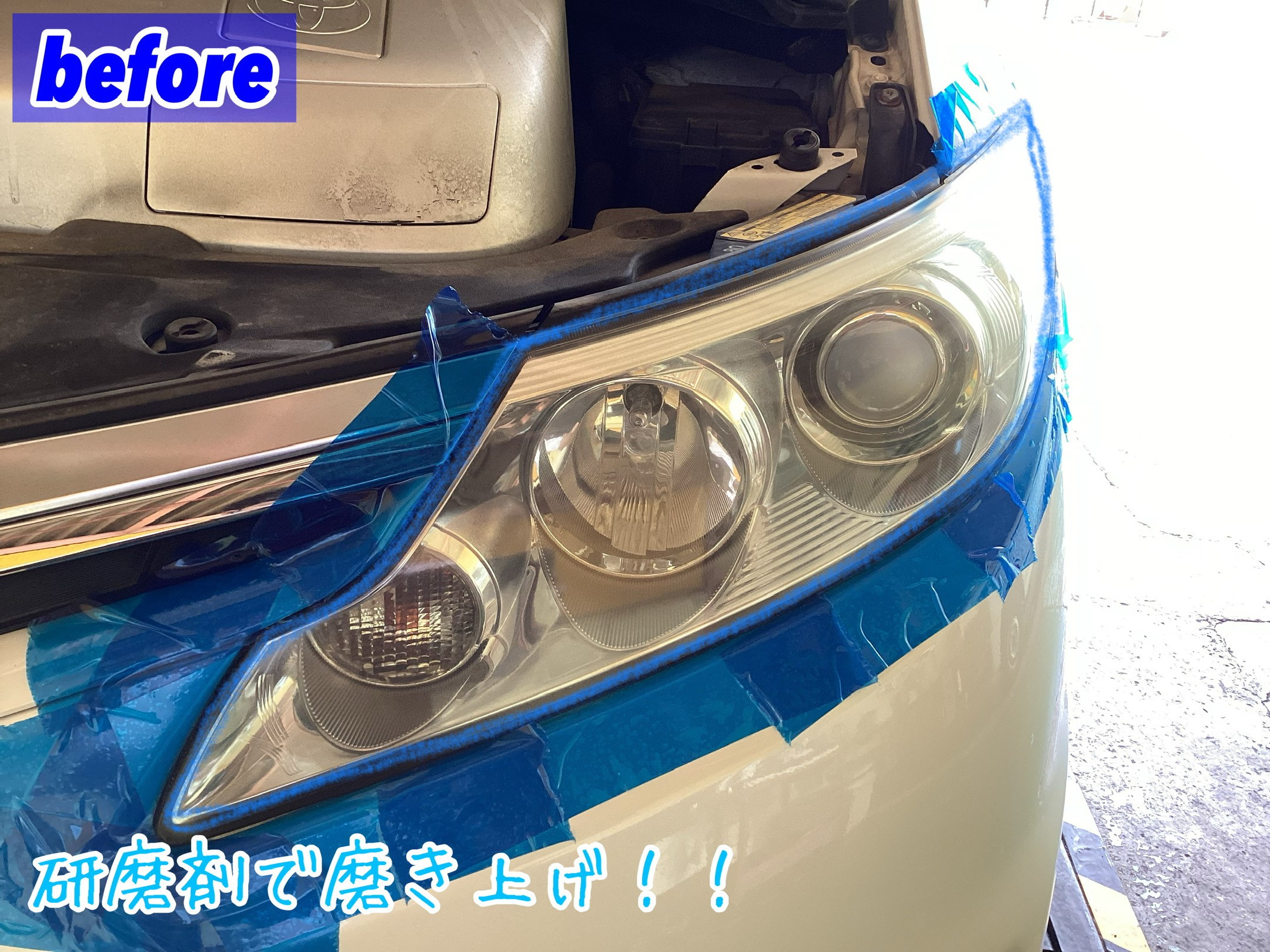 スタッフが撮影加工した画像