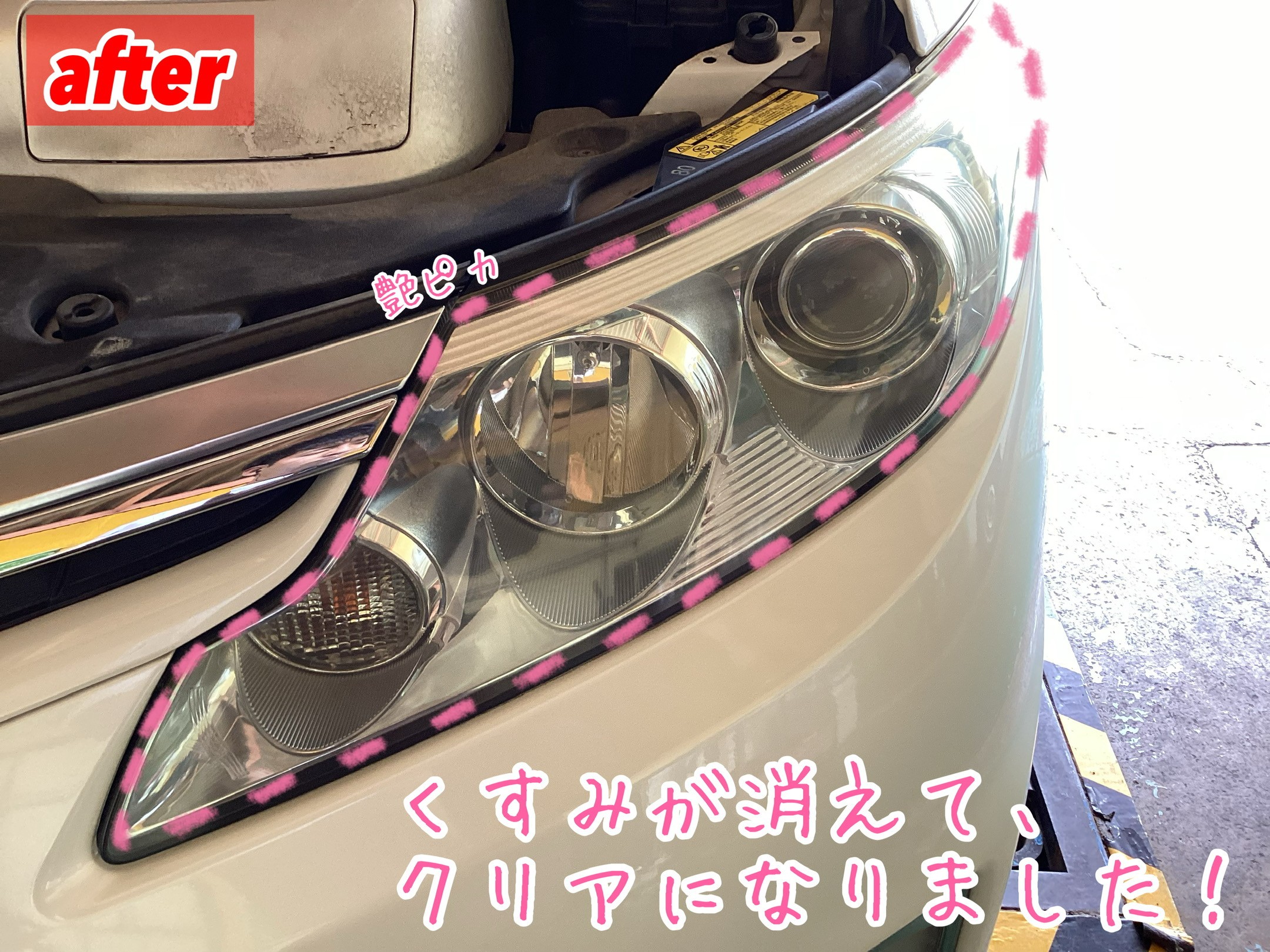 スタッフが撮影加工した画像