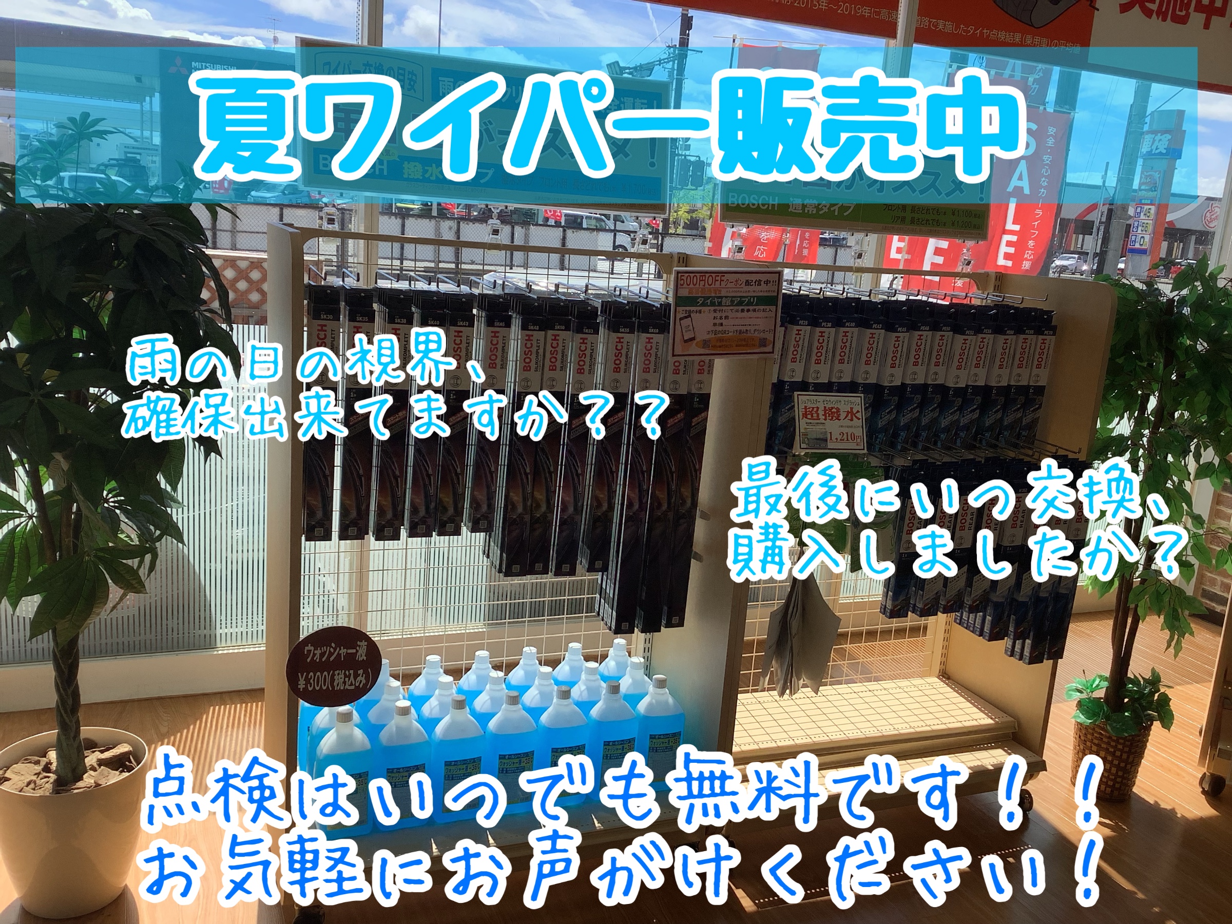 スタッフが撮影加工