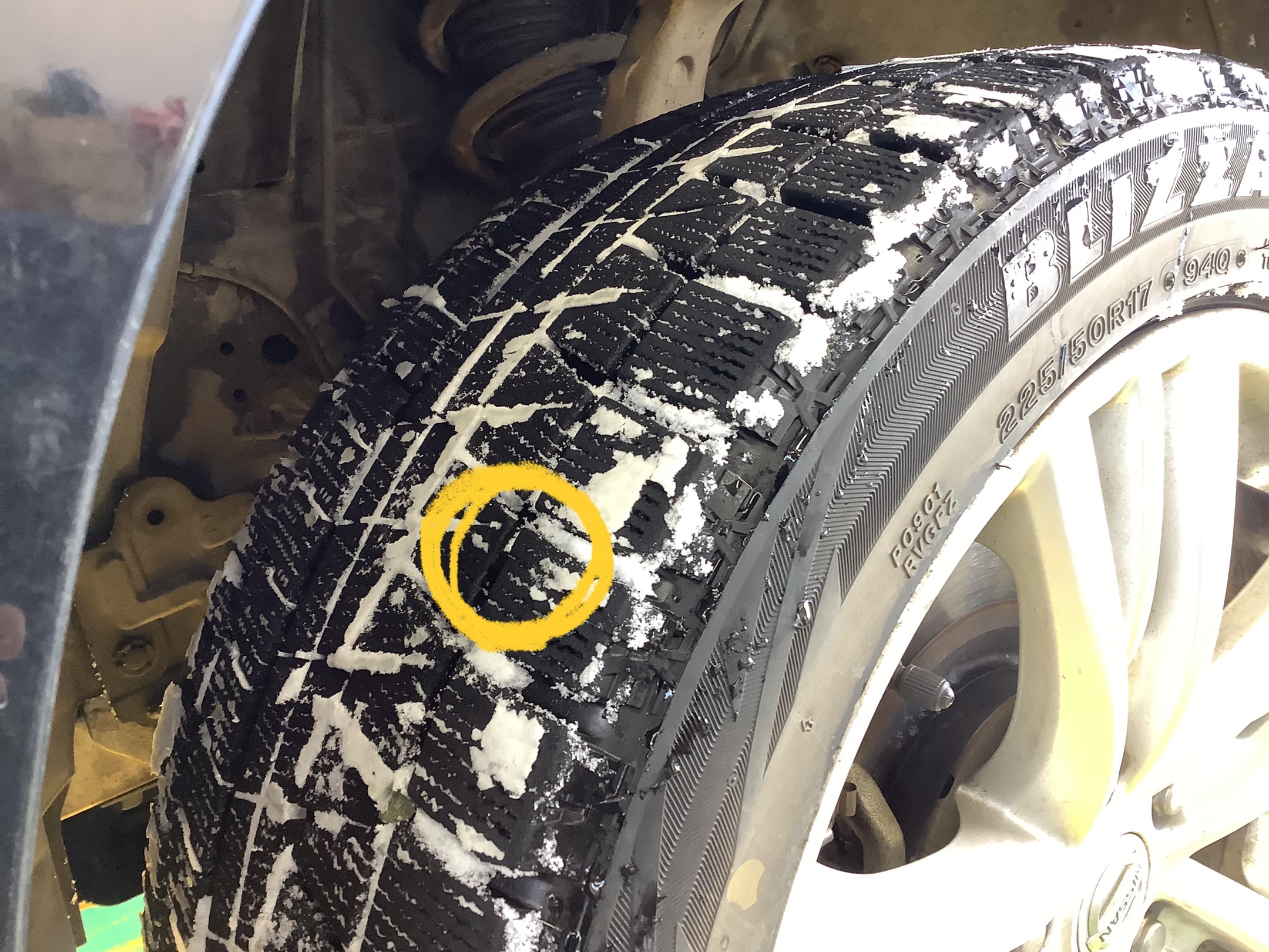 スタッフ撮影の画像です。