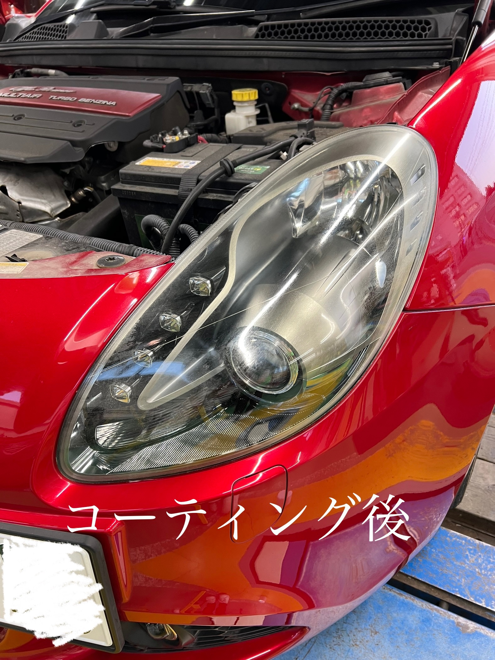 スタッフ撮影です。