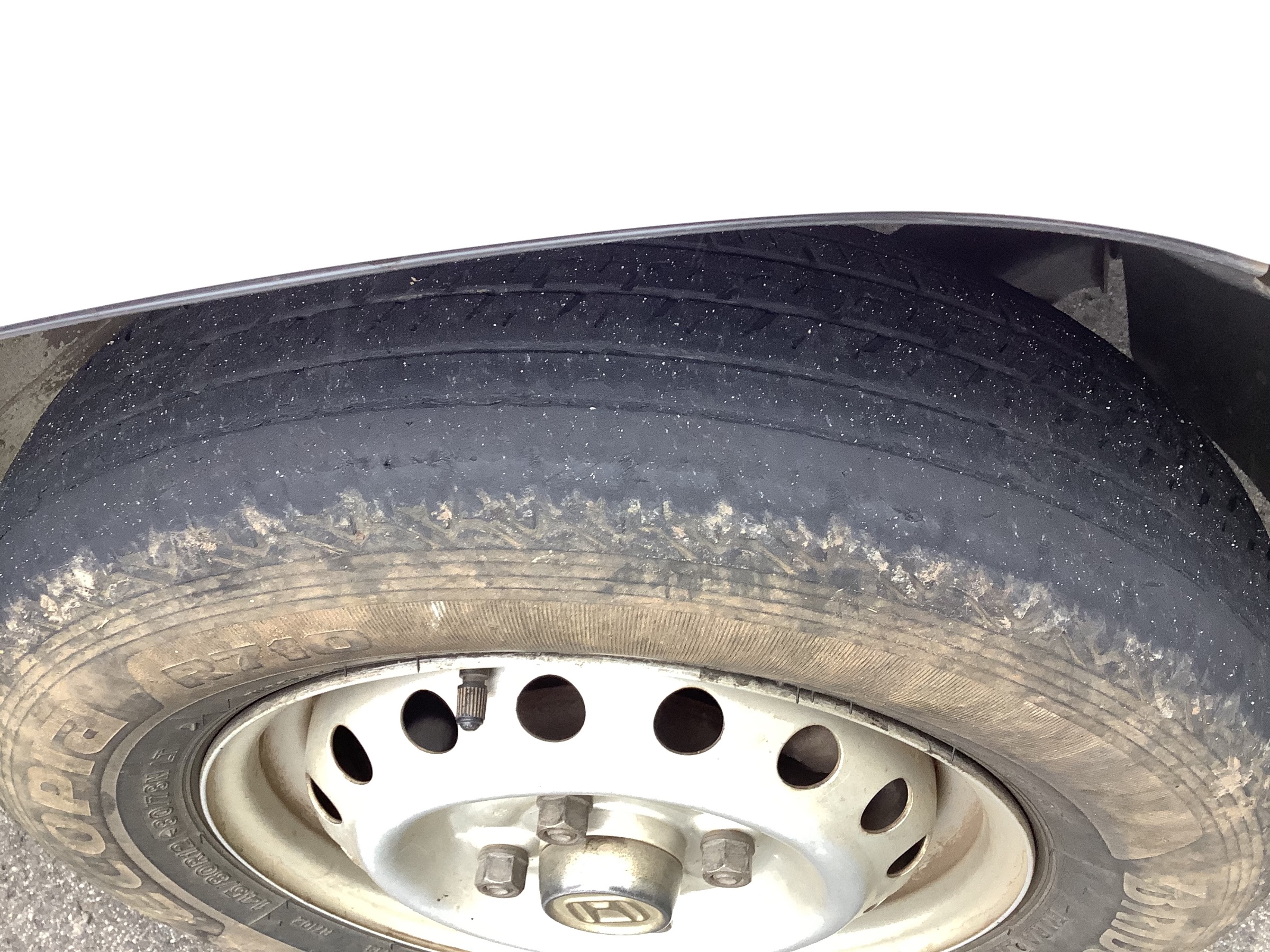 スタッフ撮影です。