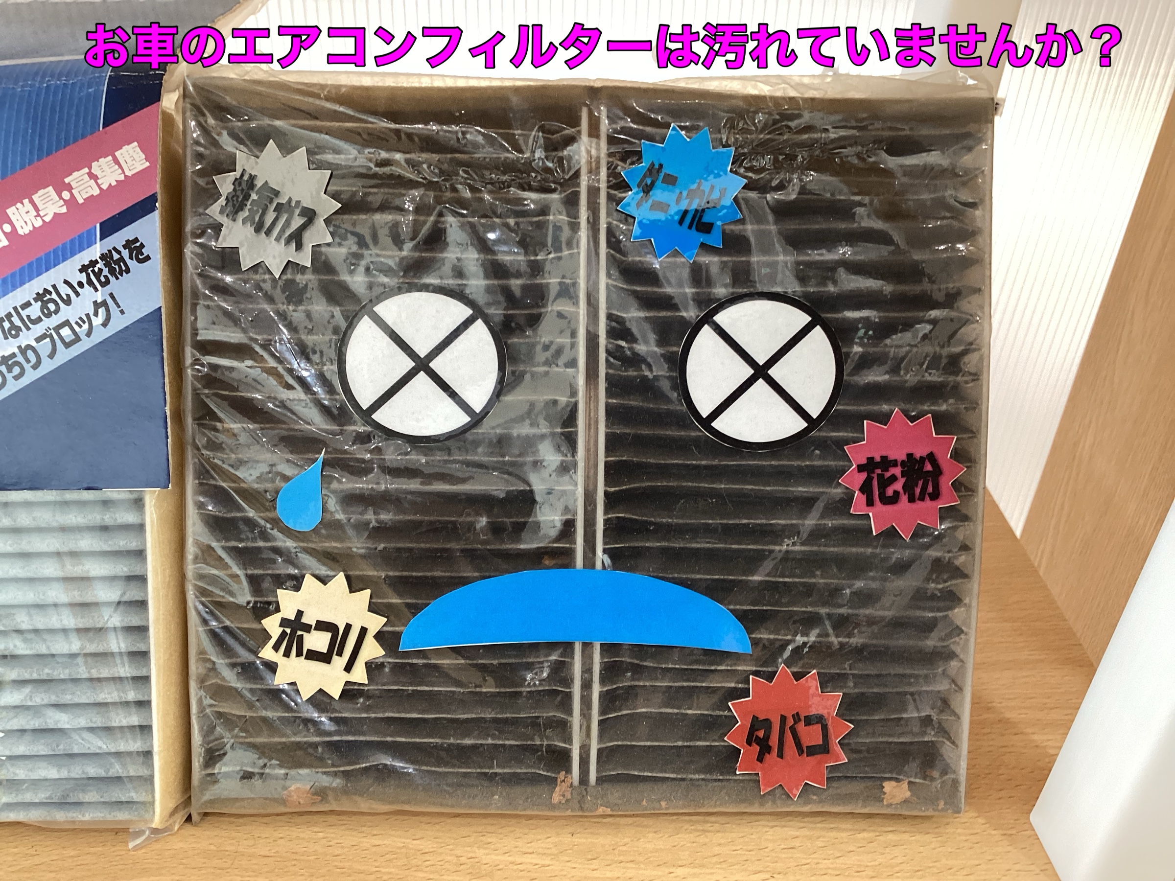 スタッフ撮影