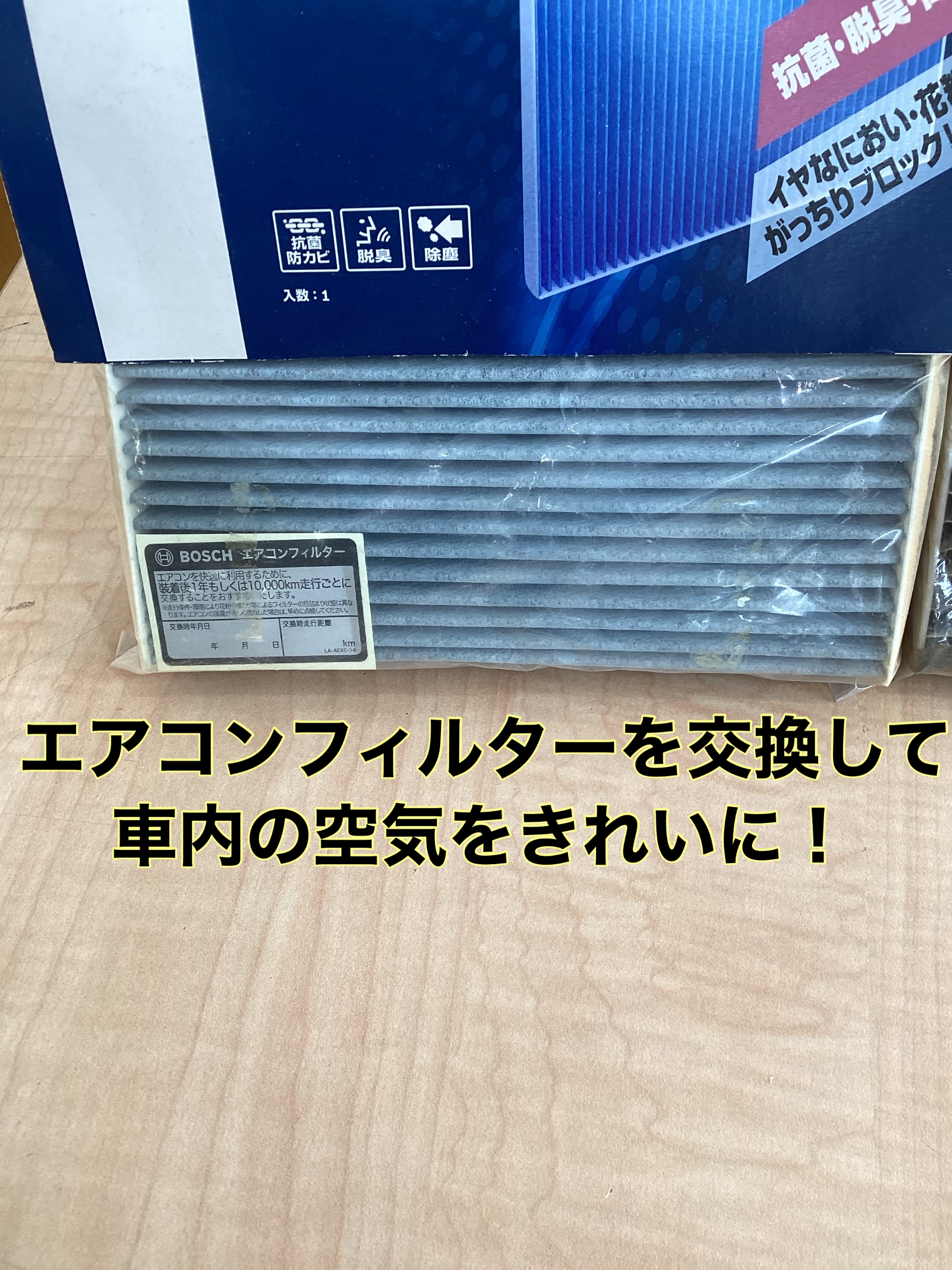 スタッフ撮影