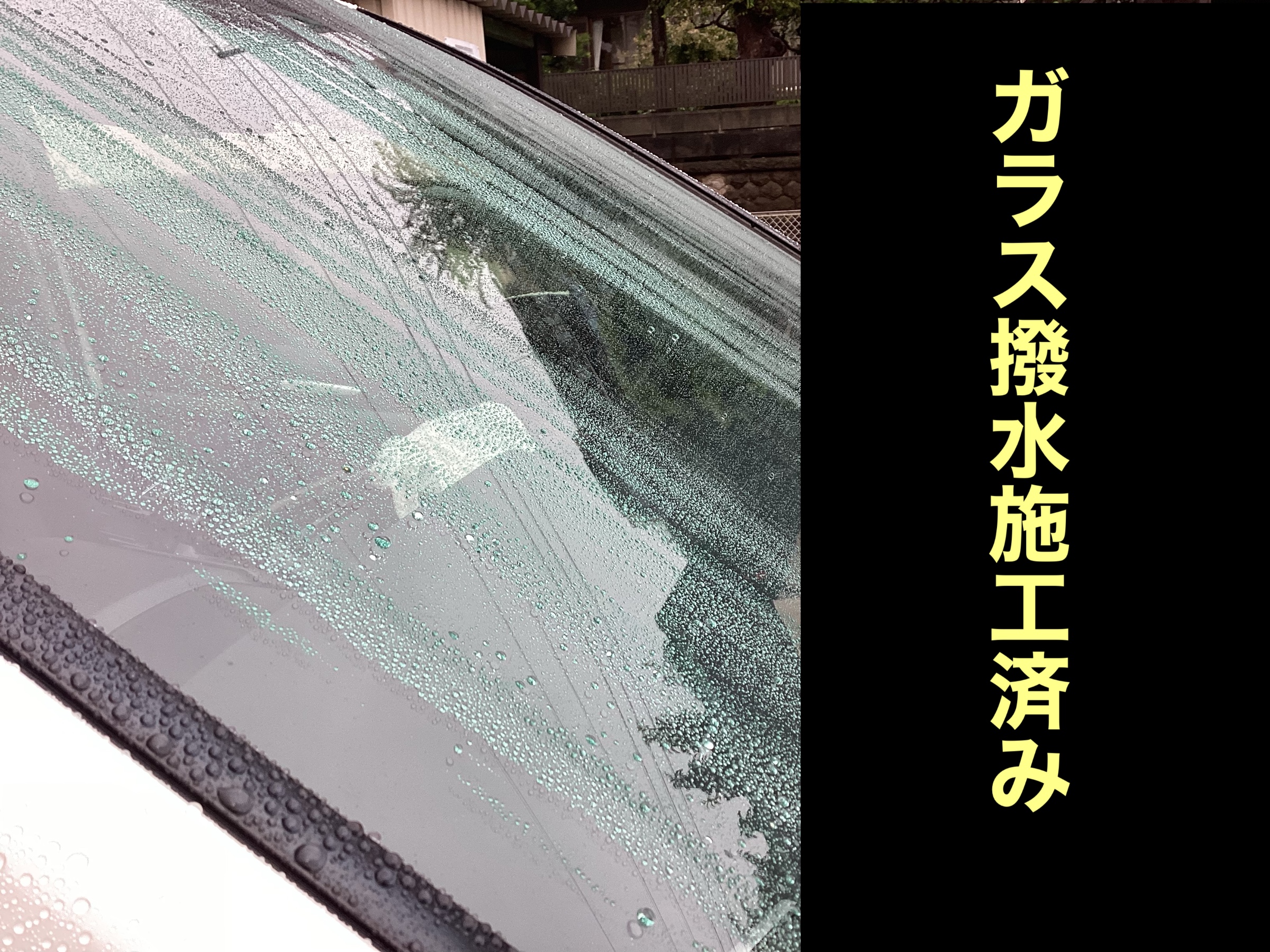 ガラス撥水施工済み