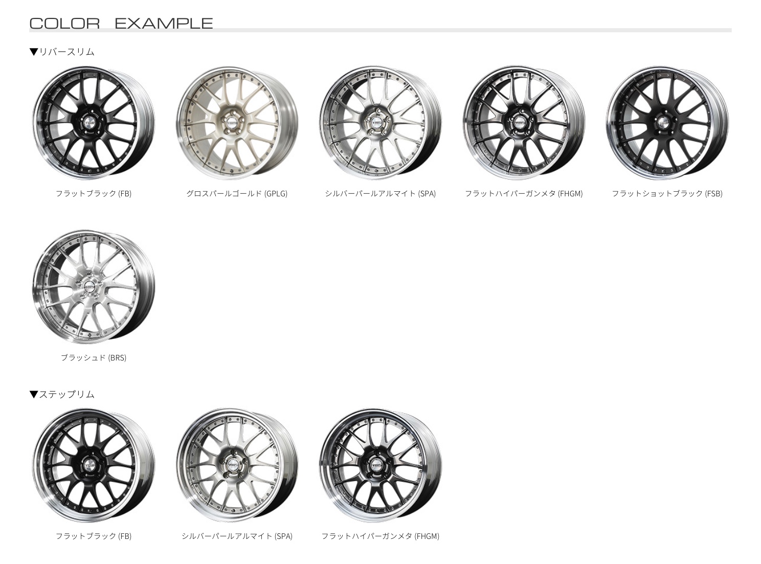 TWS エクスリート107M ブラッシュド 19インチ
